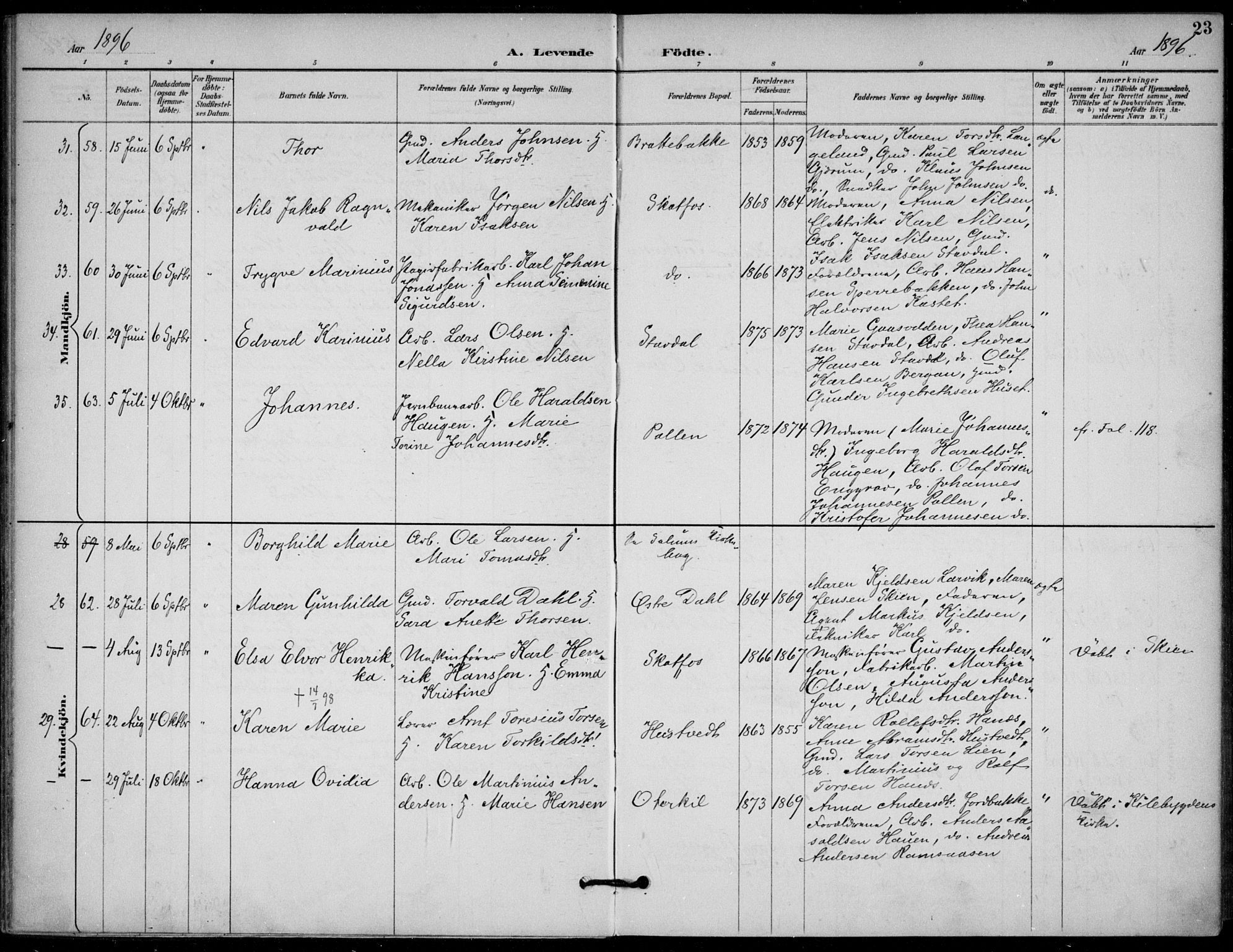 Solum kirkebøker, AV/SAKO-A-306/F/Fb/L0002: Ministerialbok nr. II 2, 1893-1901, s. 23