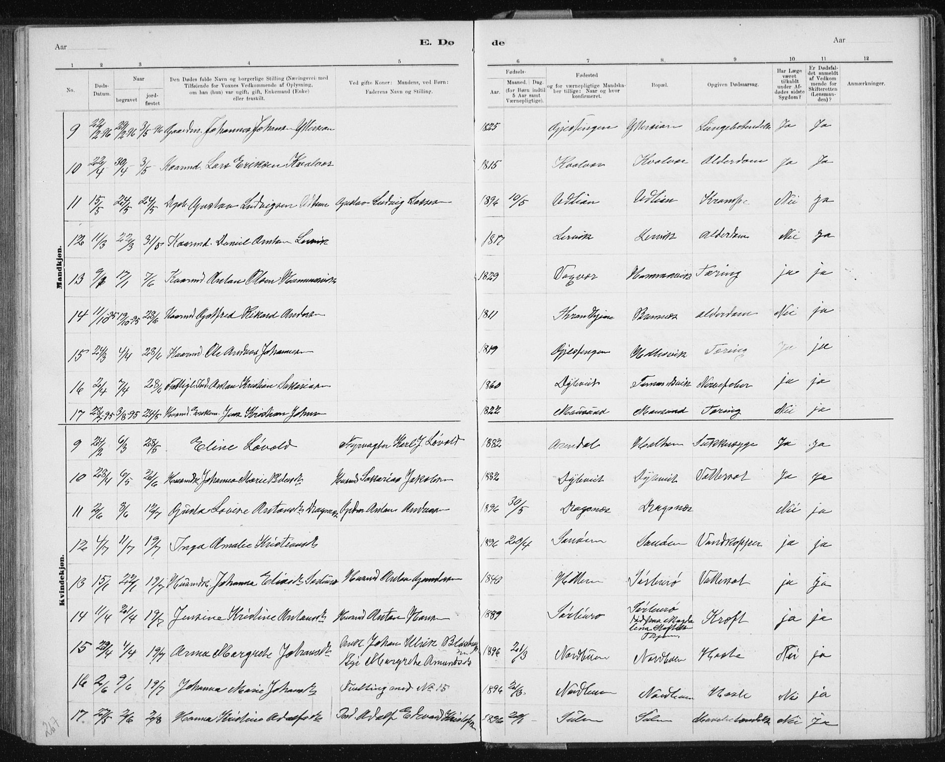 Ministerialprotokoller, klokkerbøker og fødselsregistre - Sør-Trøndelag, AV/SAT-A-1456/640/L0586: Klokkerbok nr. 640C03b, 1891-1908