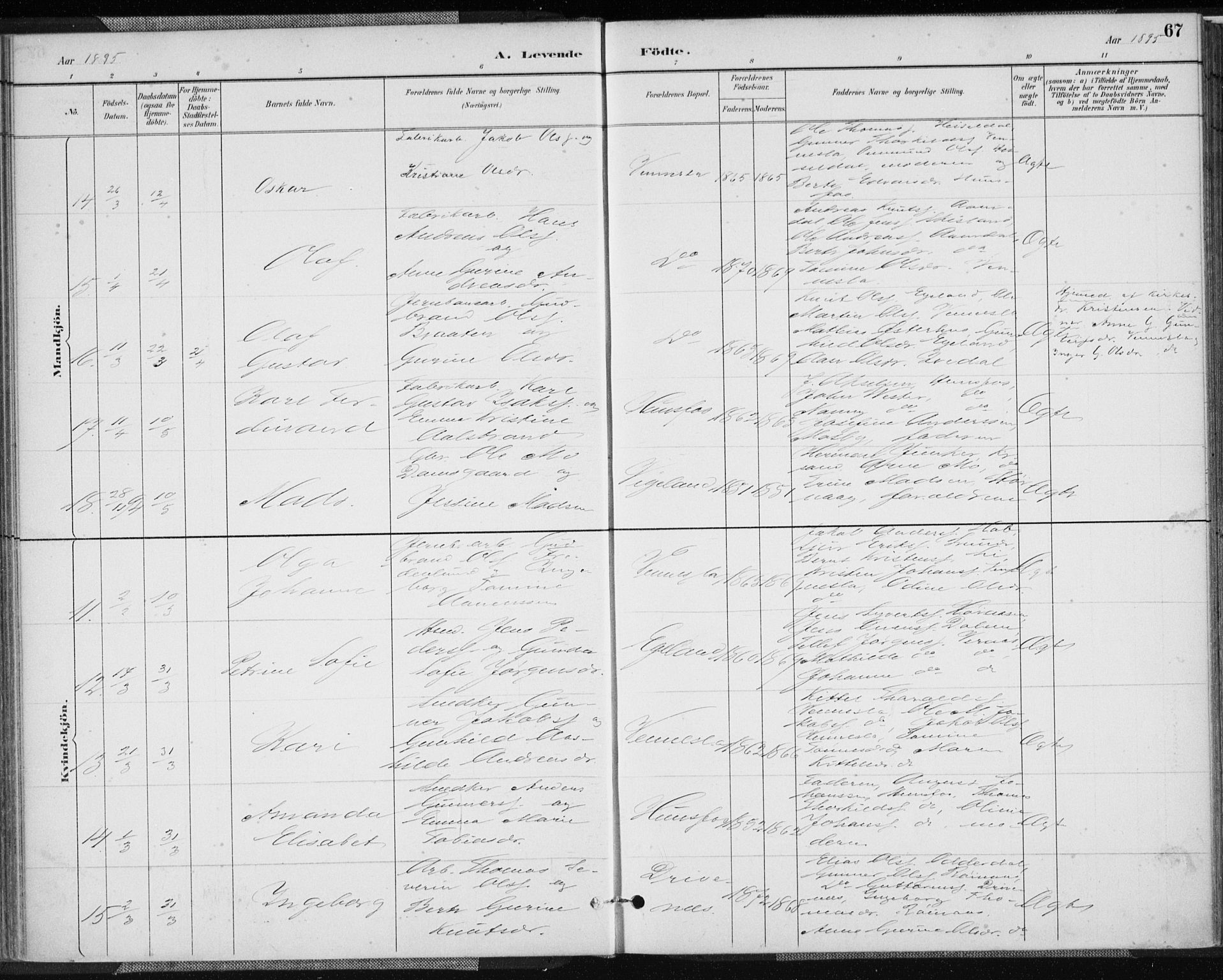 Vennesla sokneprestkontor, AV/SAK-1111-0045/Fa/Fab/L0004: Ministerialbok nr. A 4, 1884-1896, s. 67