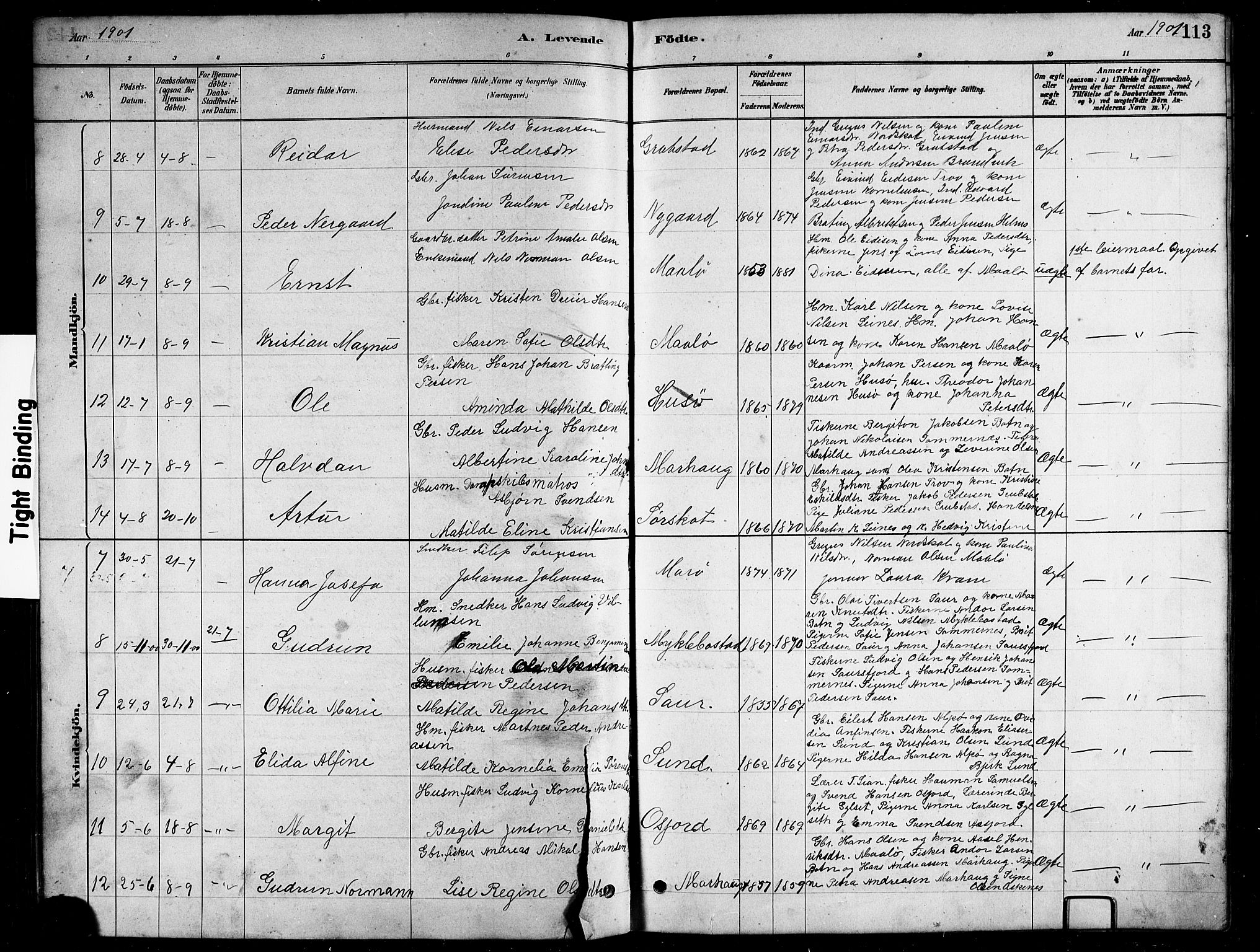 Ministerialprotokoller, klokkerbøker og fødselsregistre - Nordland, AV/SAT-A-1459/857/L0828: Klokkerbok nr. 857C03, 1879-1908, s. 113