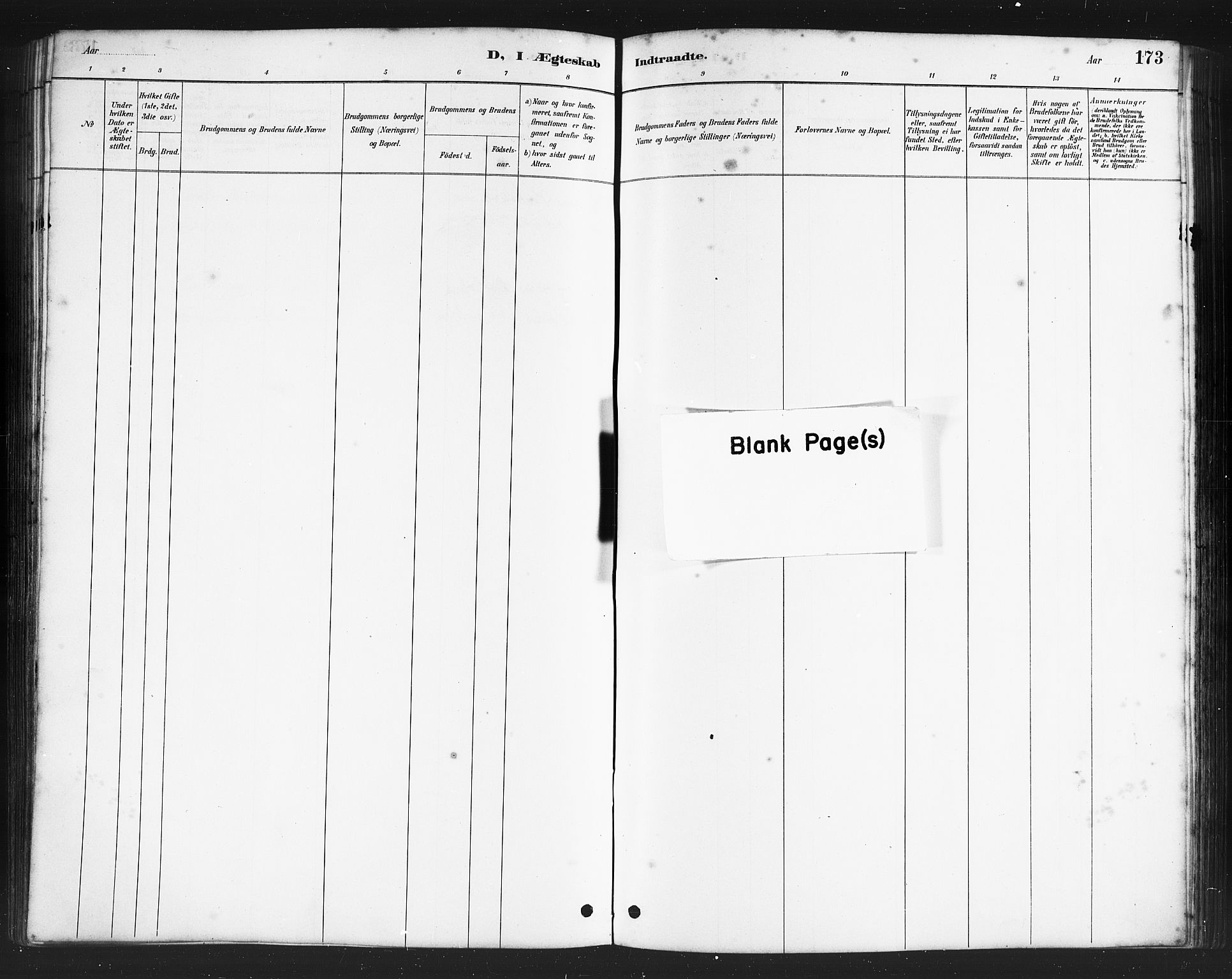 Ministerialprotokoller, klokkerbøker og fødselsregistre - Nordland, AV/SAT-A-1459/808/L0131: Klokkerbok nr. 808C02, 1879-1919, s. 173