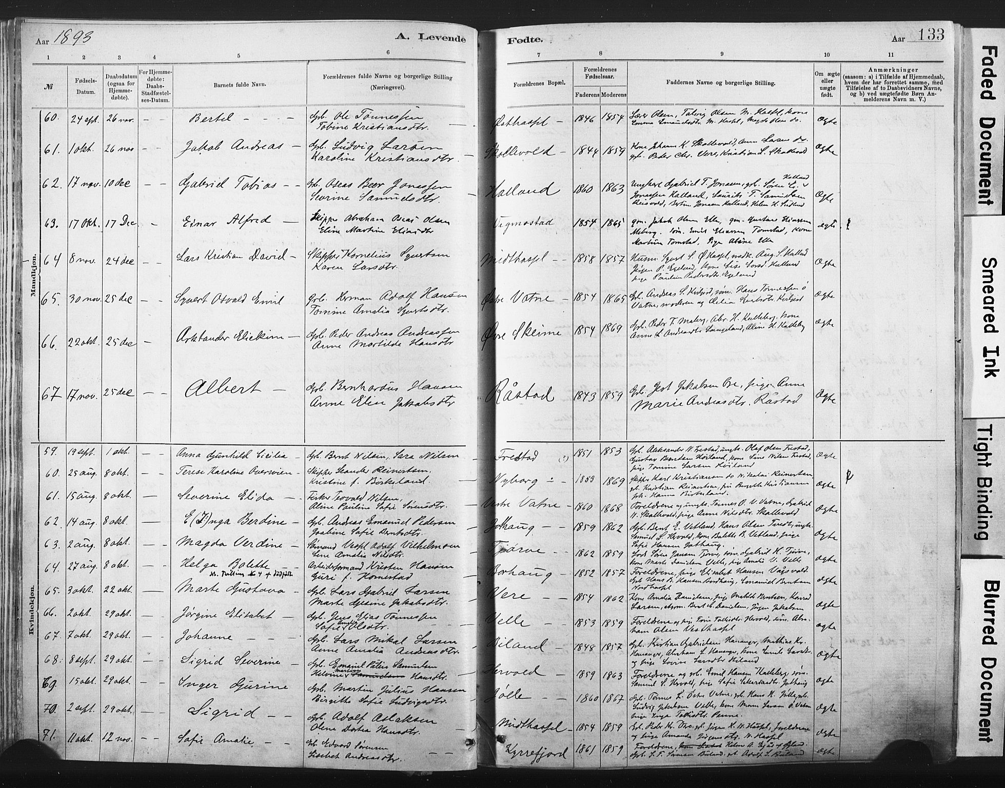 Lista sokneprestkontor, AV/SAK-1111-0027/F/Fa/L0012: Ministerialbok nr. A 12, 1879-1903, s. 133