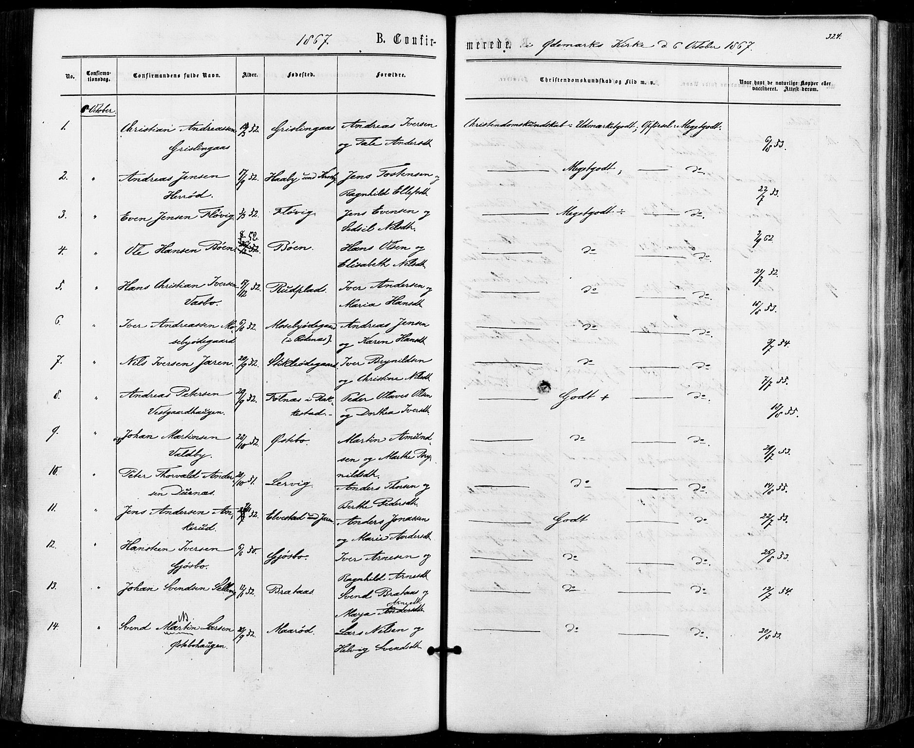 Aremark prestekontor Kirkebøker, AV/SAO-A-10899/F/Fc/L0004: Ministerialbok nr. III 4, 1866-1877, s. 323-324