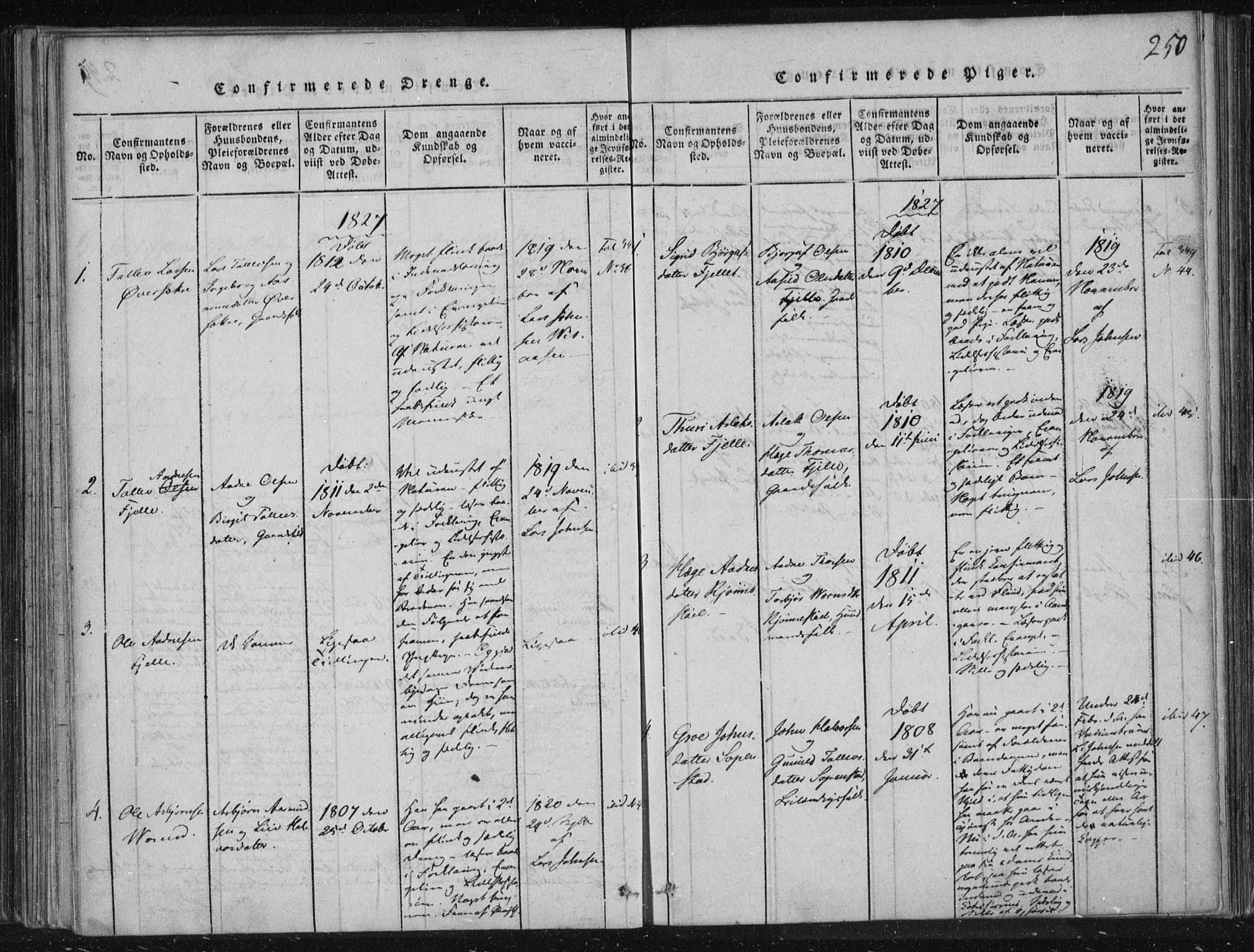 Lårdal kirkebøker, SAKO/A-284/F/Fc/L0001: Ministerialbok nr. III 1, 1815-1860, s. 250