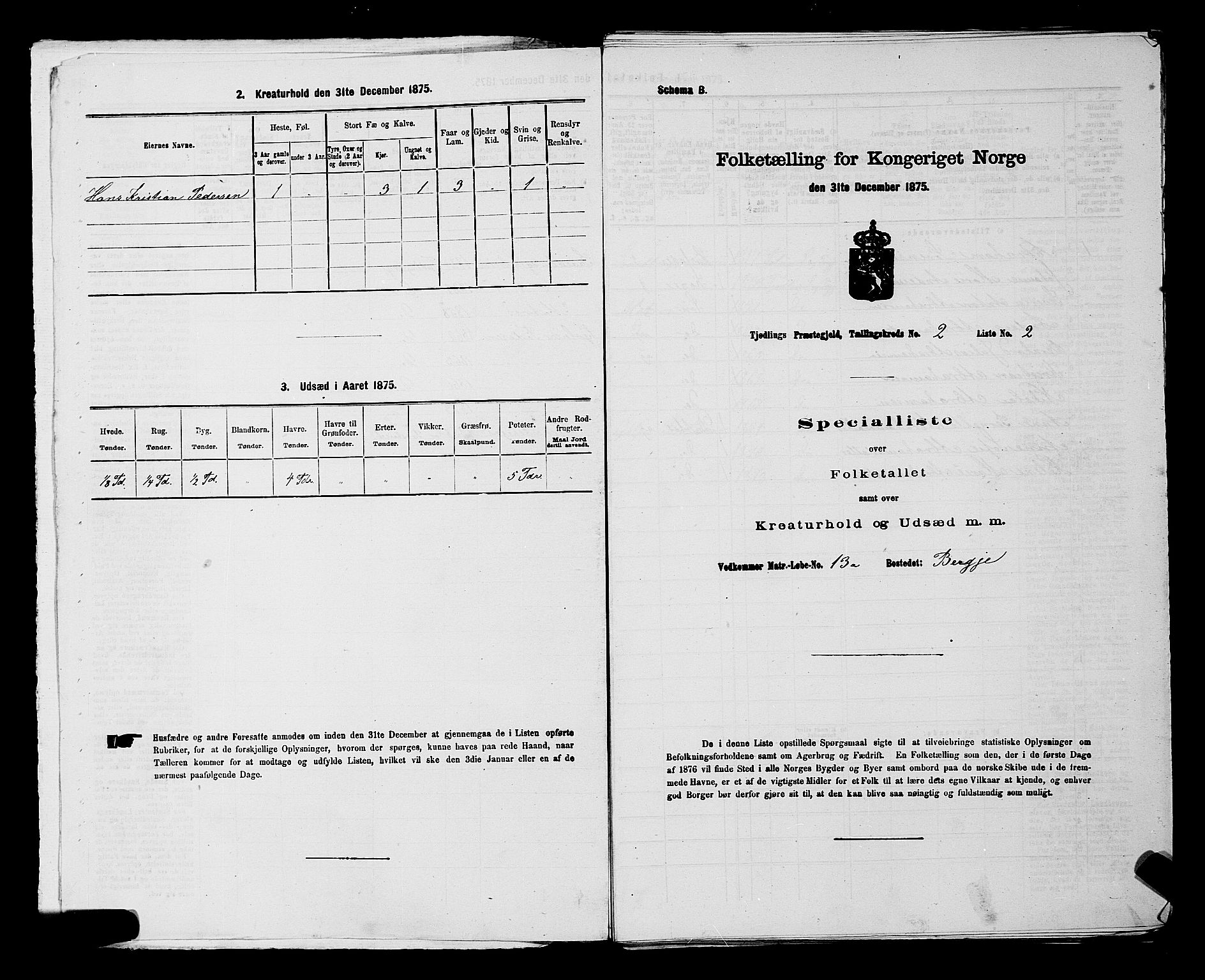 SAKO, Folketelling 1875 for 0725P Tjølling prestegjeld, 1875, s. 393