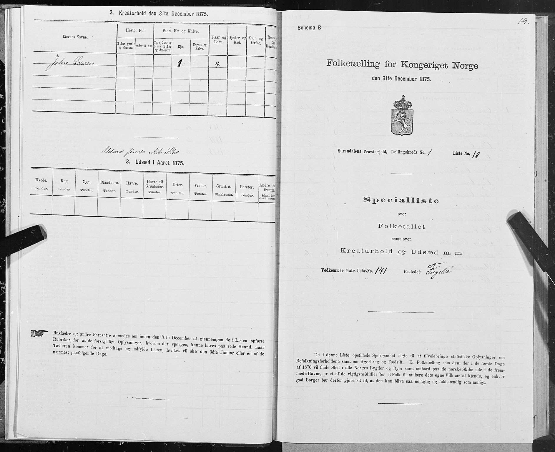 SAT, Folketelling 1875 for 1566P Surnadal prestegjeld, 1875, s. 1019