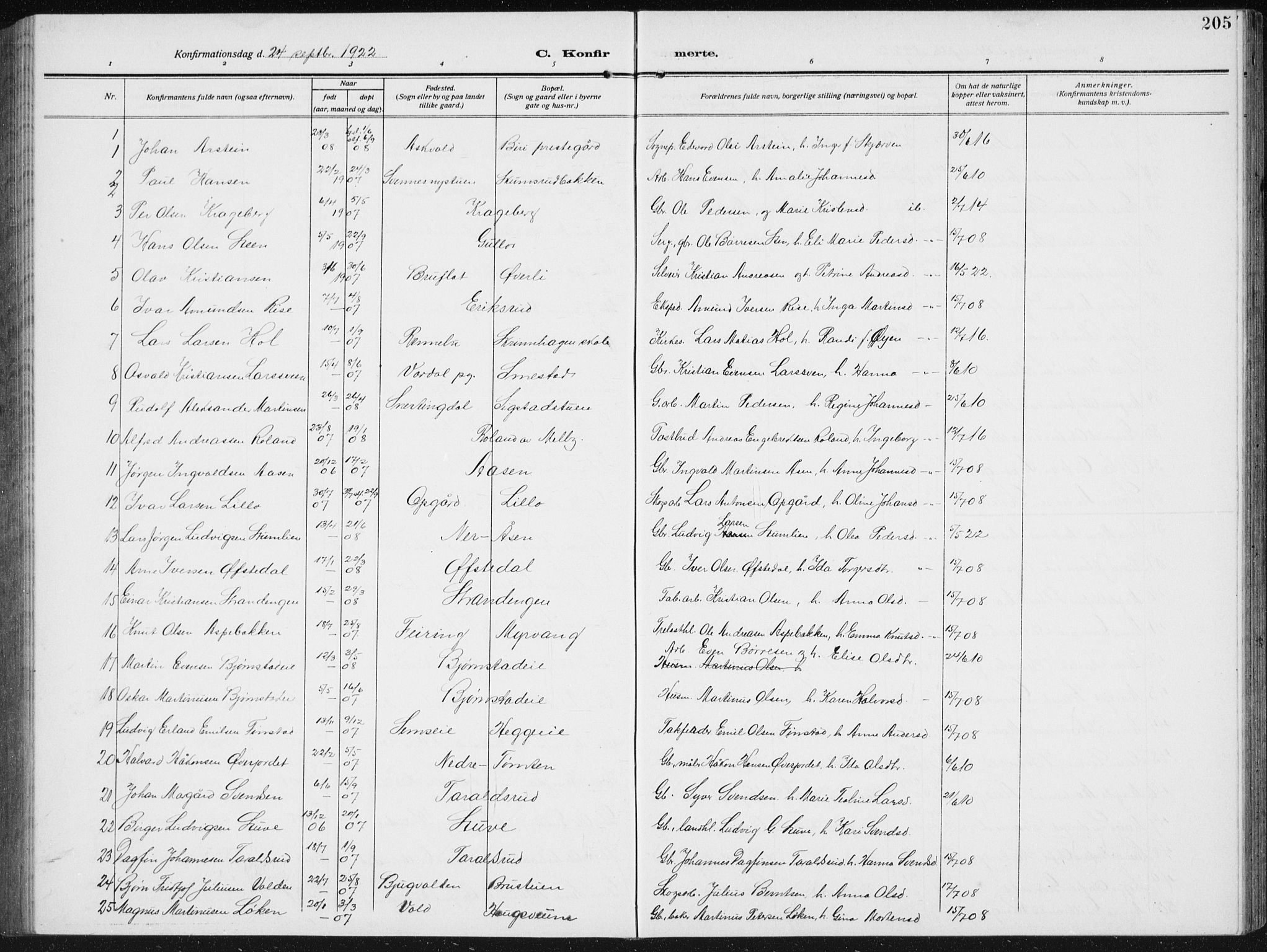 Biri prestekontor, AV/SAH-PREST-096/H/Ha/Hab/L0006: Klokkerbok nr. 6, 1909-1938, s. 205