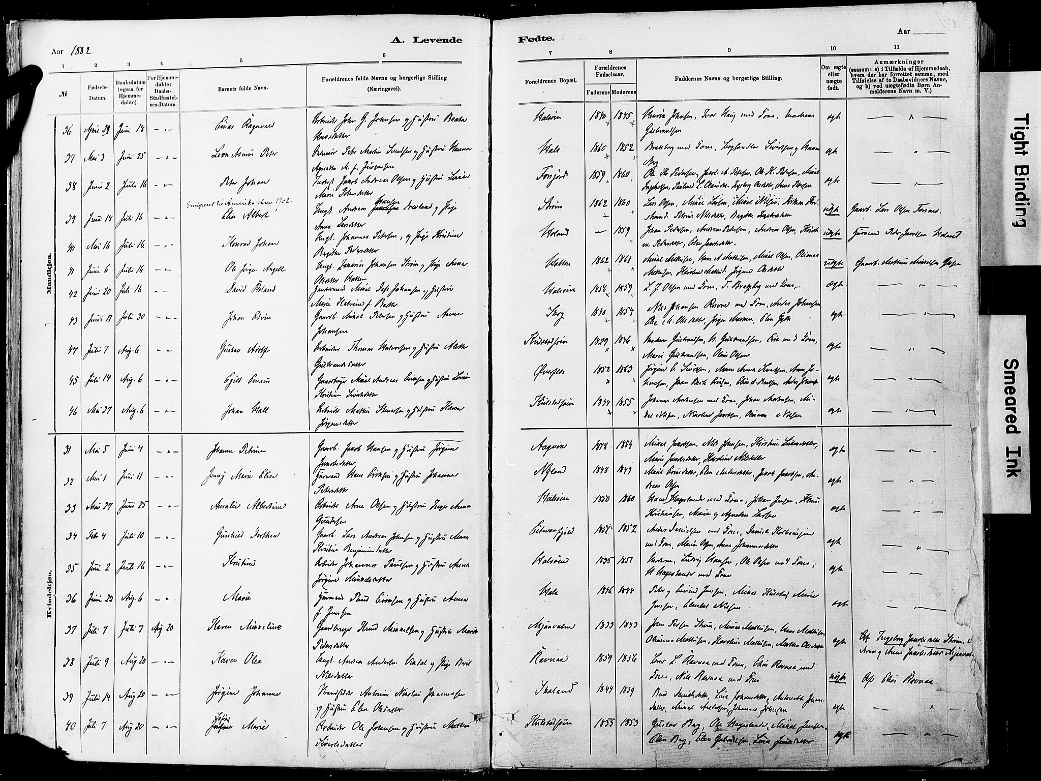 Ministerialprotokoller, klokkerbøker og fødselsregistre - Nordland, AV/SAT-A-1459/820/L0295: Ministerialbok nr. 820A16, 1880-1896, s. 18