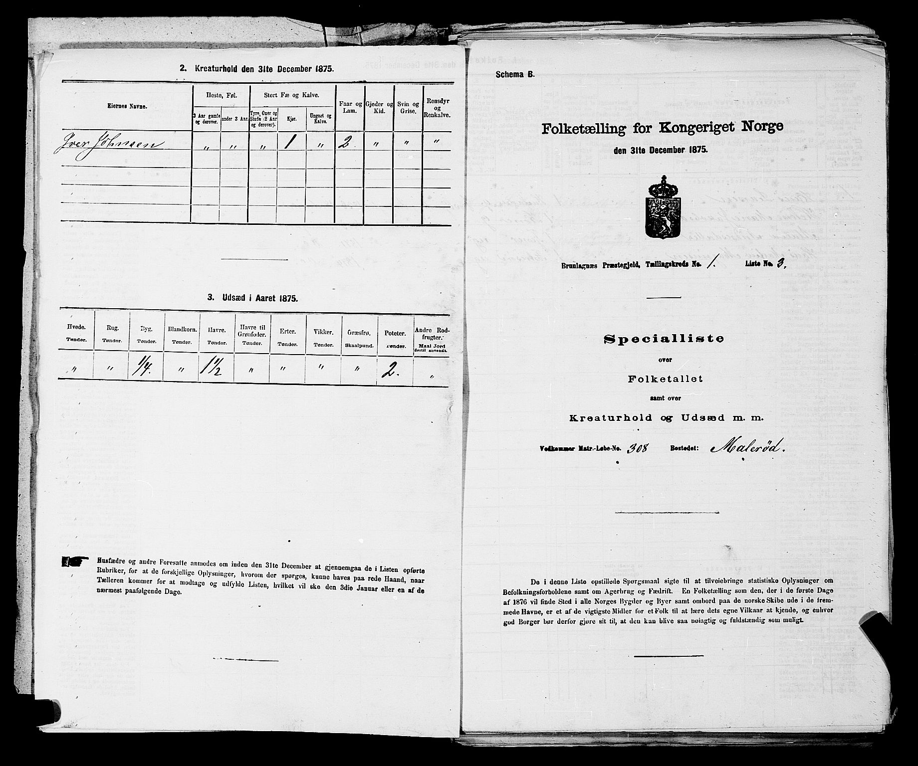 SAKO, Folketelling 1875 for 0726P Brunlanes prestegjeld, 1875, s. 67