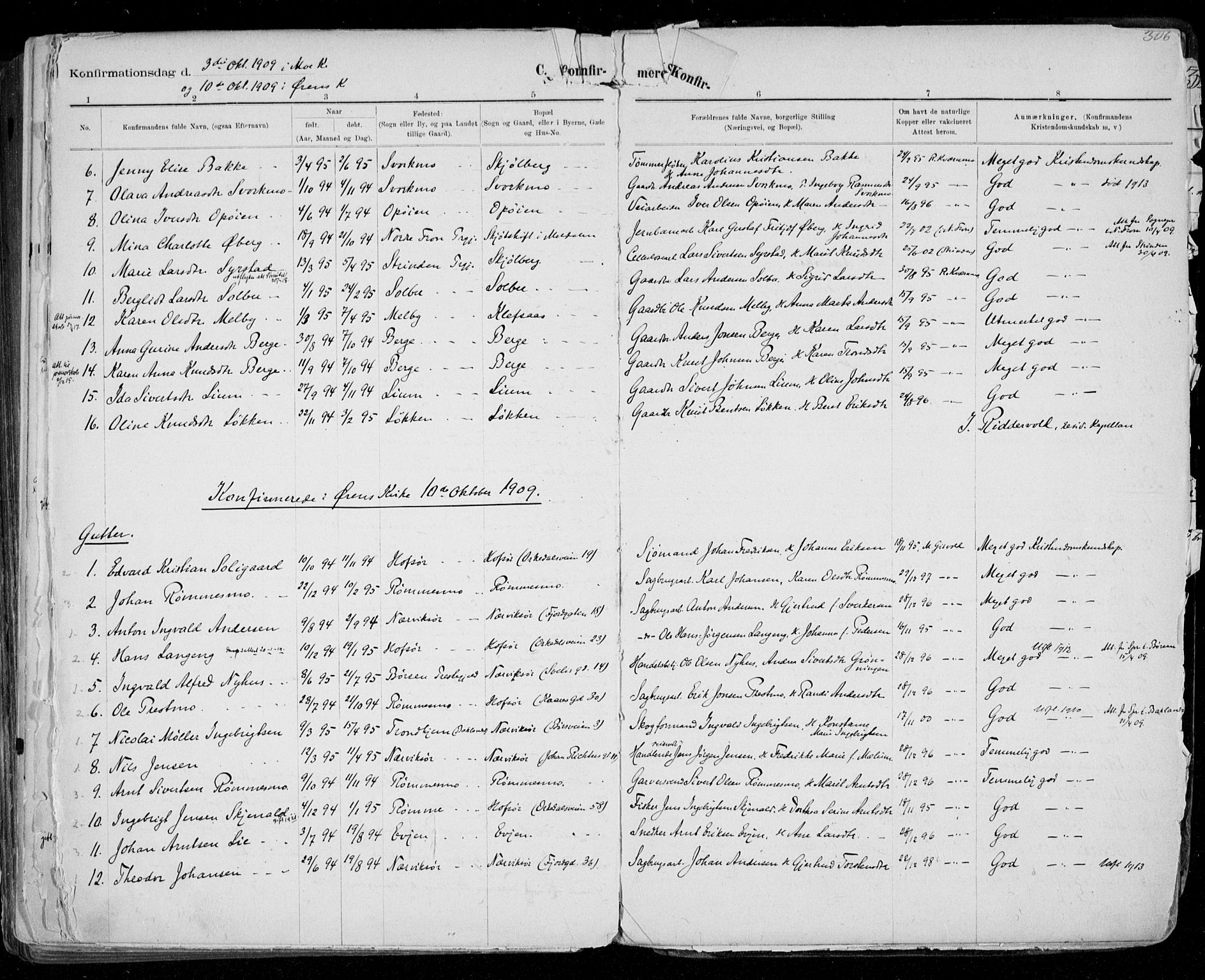 Ministerialprotokoller, klokkerbøker og fødselsregistre - Sør-Trøndelag, SAT/A-1456/668/L0811: Ministerialbok nr. 668A11, 1894-1913, s. 306
