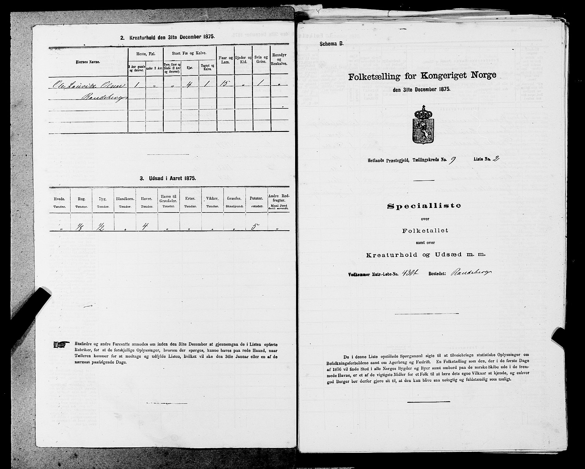 SAST, Folketelling 1875 for 1126P Hetland prestegjeld, 1875, s. 1799