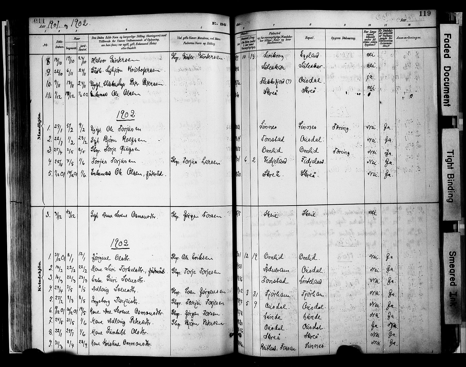 Sirdal sokneprestkontor, SAK/1111-0036/F/Fa/Faa/L0001: Ministerialbok nr. A 1, 1887-1910, s. 119