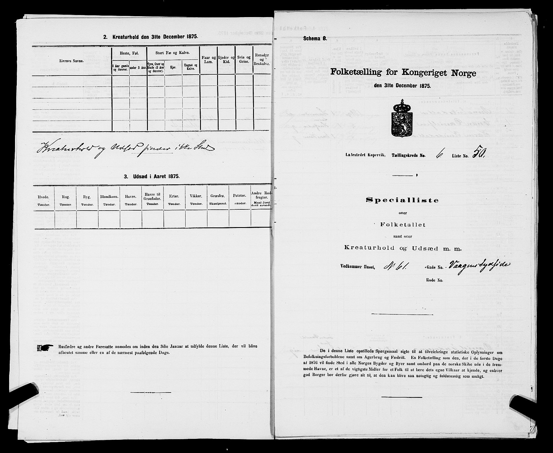 SAST, Folketelling 1875 for 1105B Avaldsnes prestegjeld, Kopervik ladested, 1875, s. 98