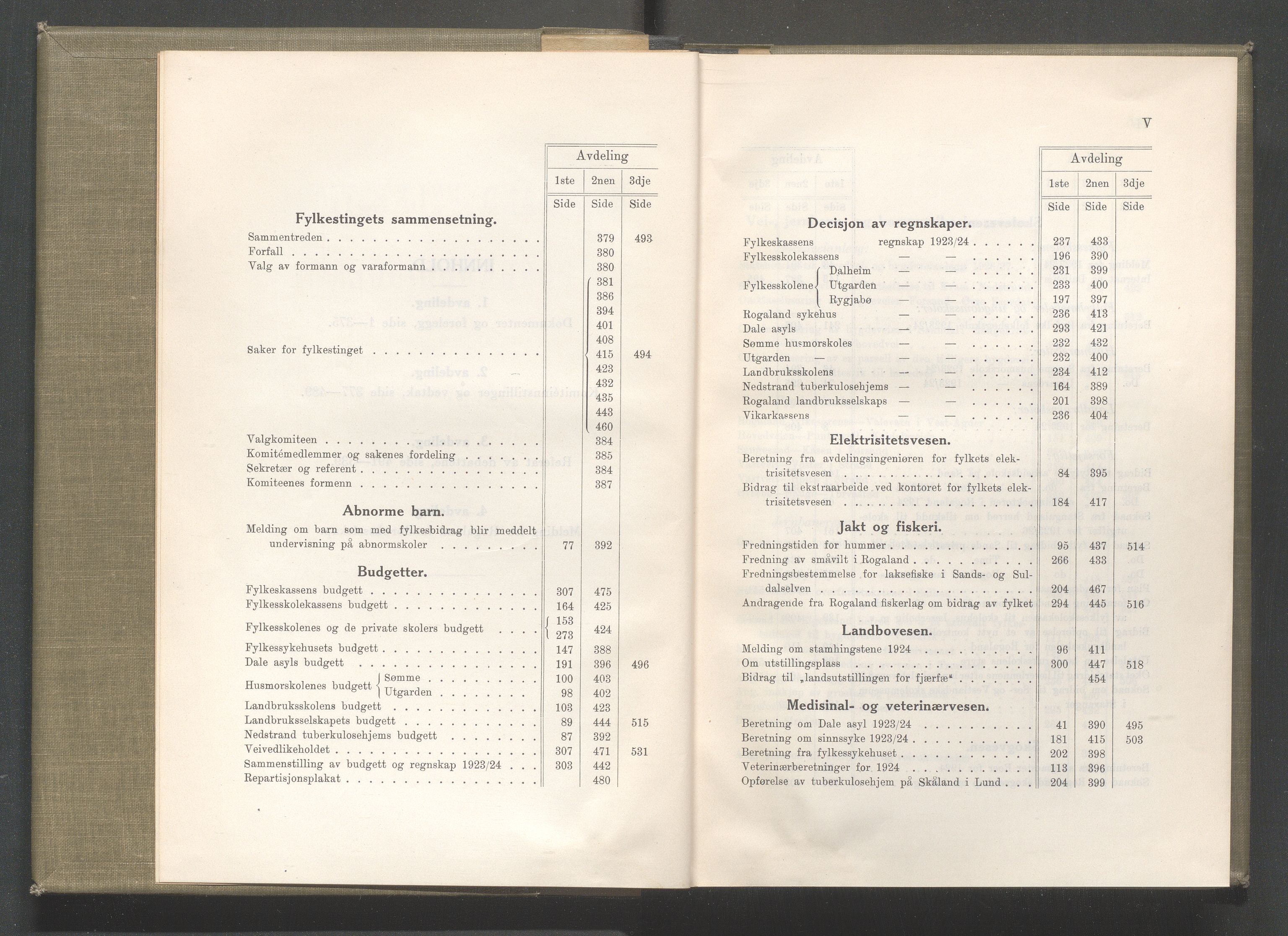 Rogaland fylkeskommune - Fylkesrådmannen , IKAR/A-900/A/Aa/Aaa/L0044: Møtebok , 1925, s. IV-V