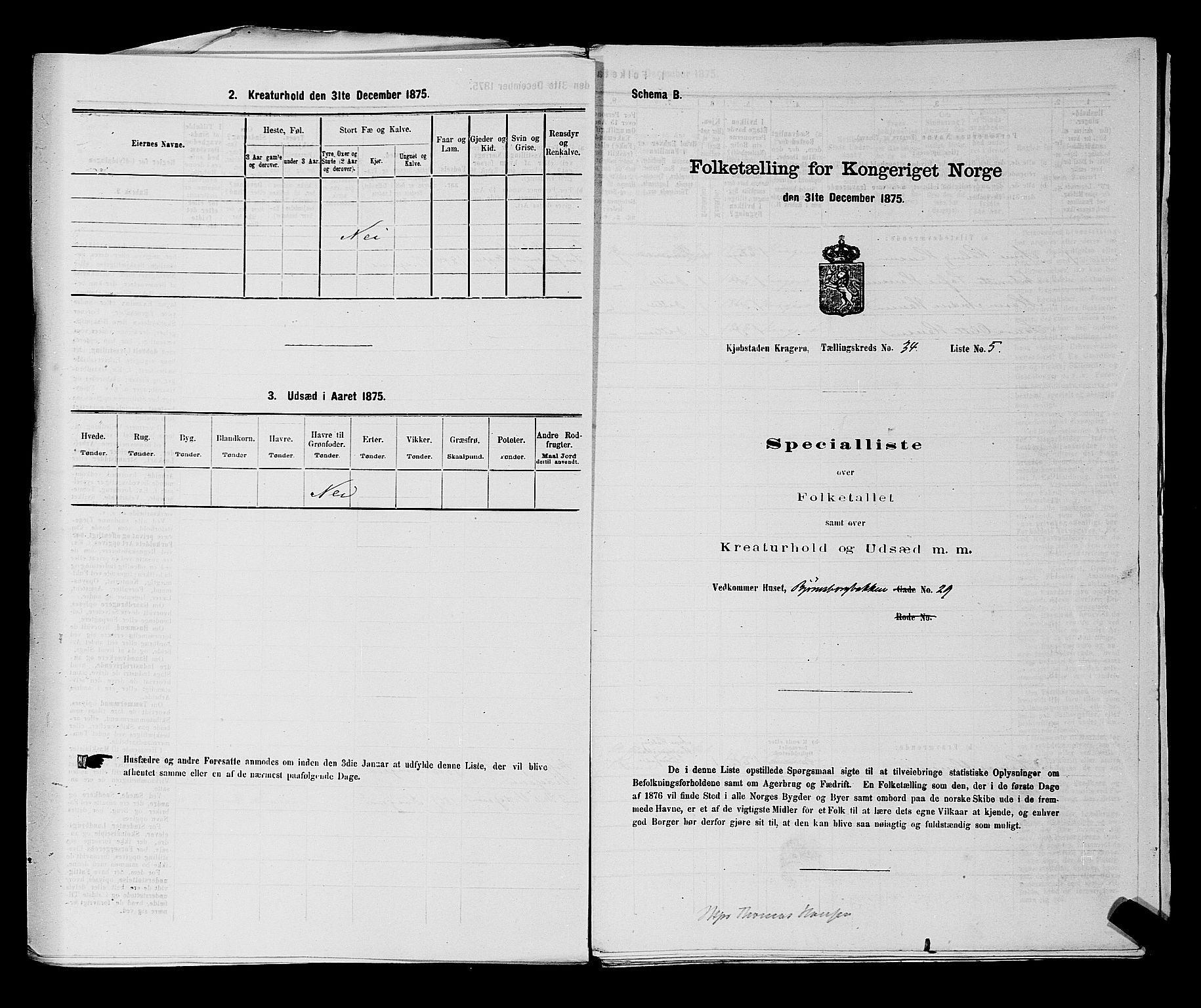 SAKO, Folketelling 1875 for 0801P Kragerø prestegjeld, 1875, s. 717