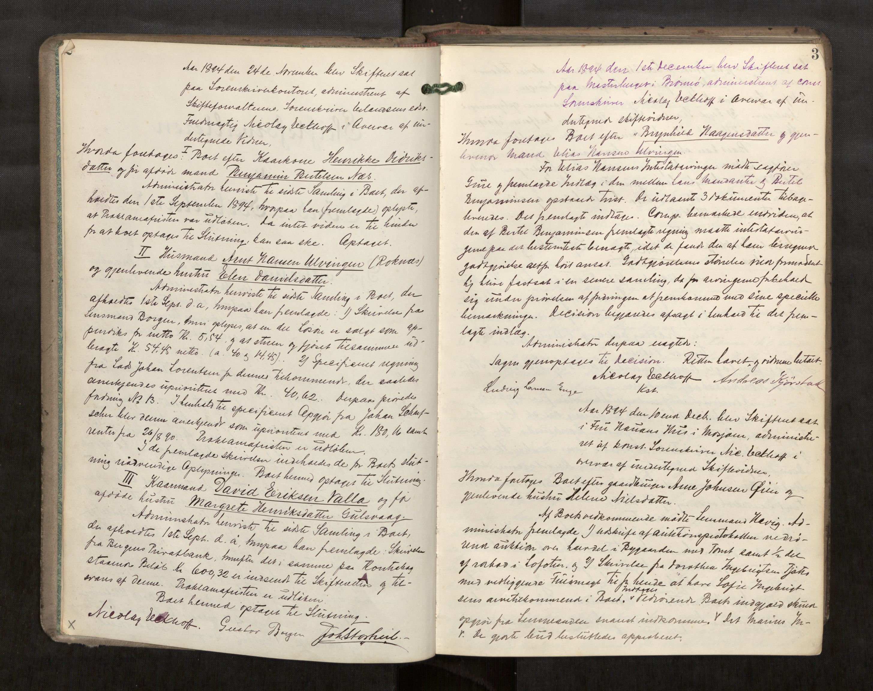 Søndre Helgeland sorenskriveri, AV/SAT-A-4575/1/3/3B/L0005: Skiftebehandlingsprotokoll, 1894-1899, s. 2-3