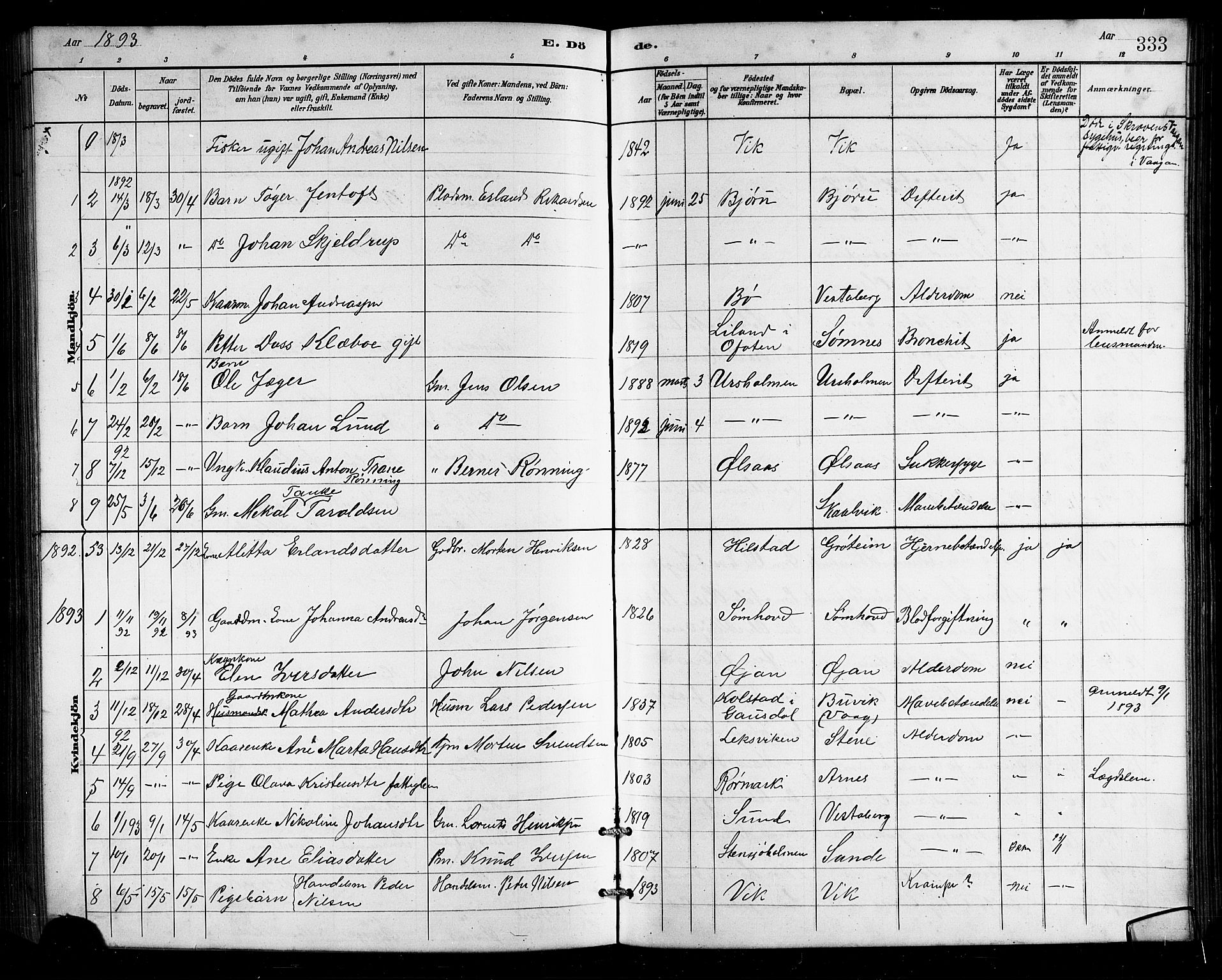 Ministerialprotokoller, klokkerbøker og fødselsregistre - Nordland, AV/SAT-A-1459/812/L0188: Klokkerbok nr. 812C06, 1884-1912, s. 333