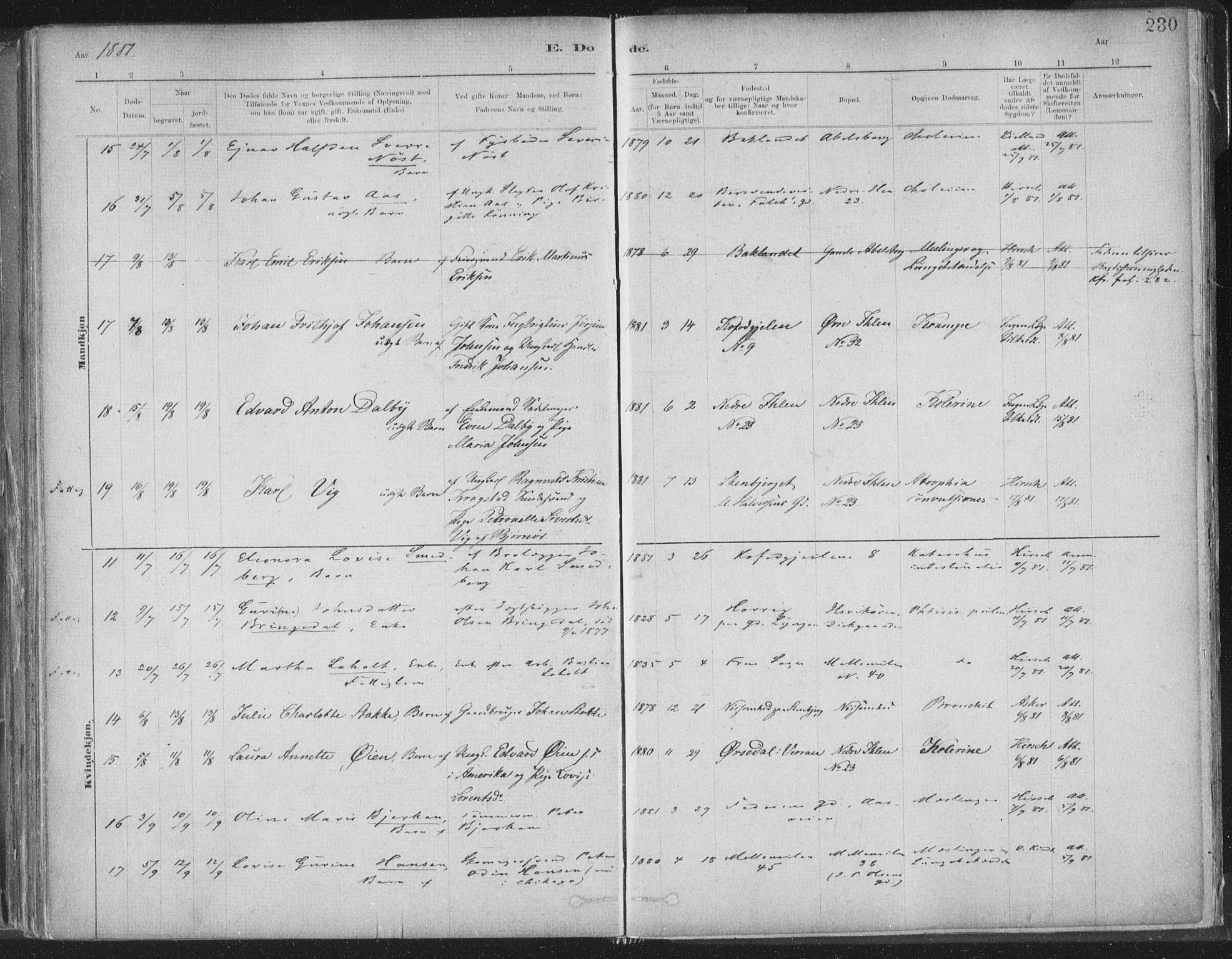 Ministerialprotokoller, klokkerbøker og fødselsregistre - Sør-Trøndelag, SAT/A-1456/603/L0162: Ministerialbok nr. 603A01, 1879-1895, s. 230