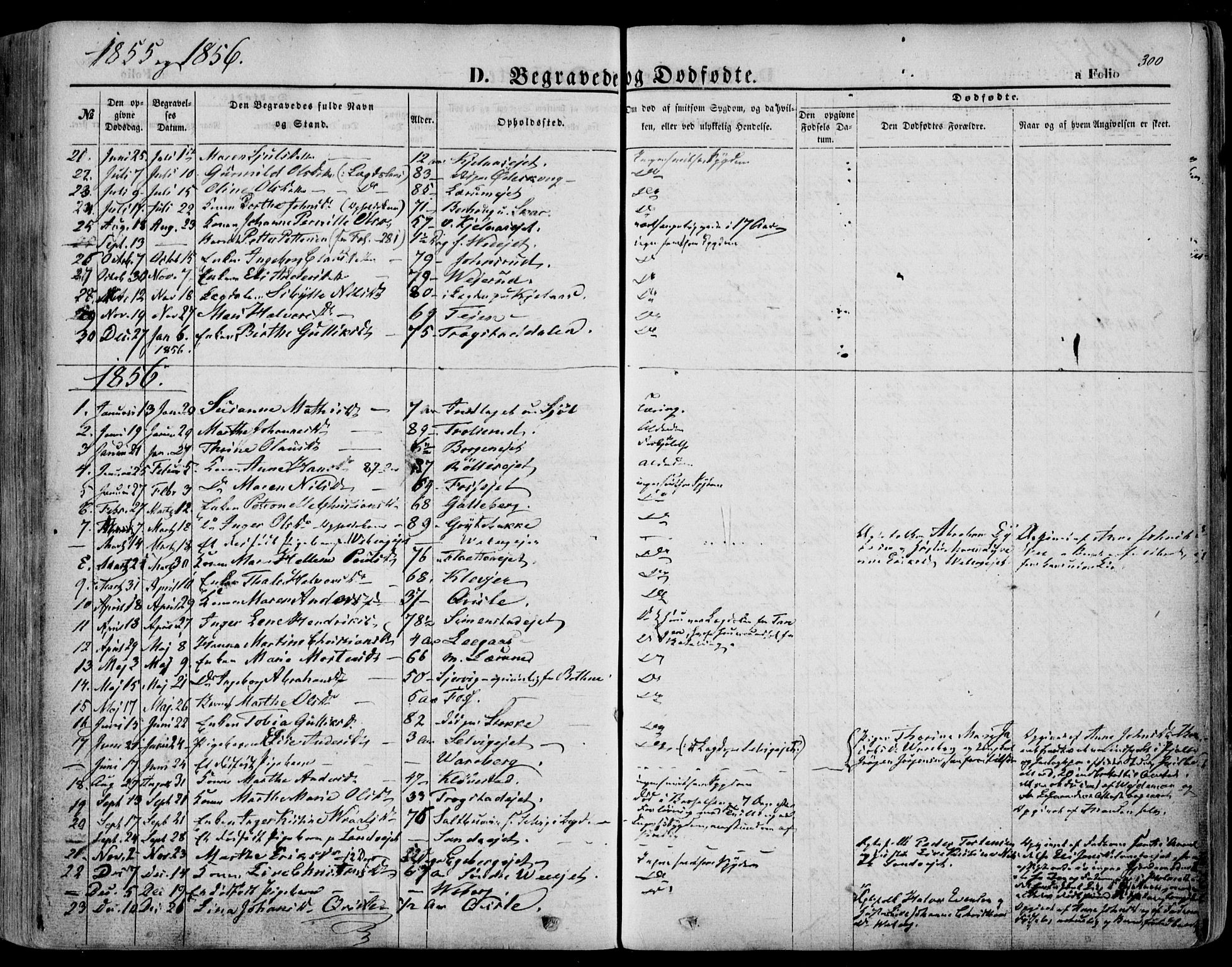 Sande Kirkebøker, AV/SAKO-A-53/F/Fa/L0004: Ministerialbok nr. 4, 1847-1864, s. 300