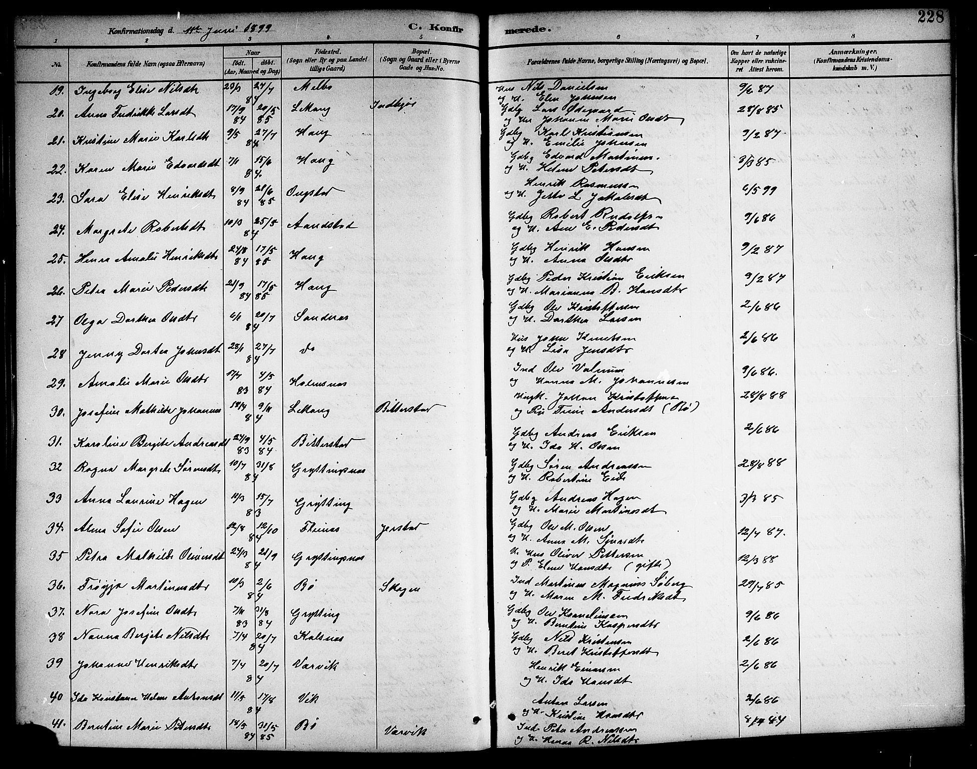 Ministerialprotokoller, klokkerbøker og fødselsregistre - Nordland, AV/SAT-A-1459/888/L1268: Klokkerbok nr. 888C06, 1891-1908, s. 228