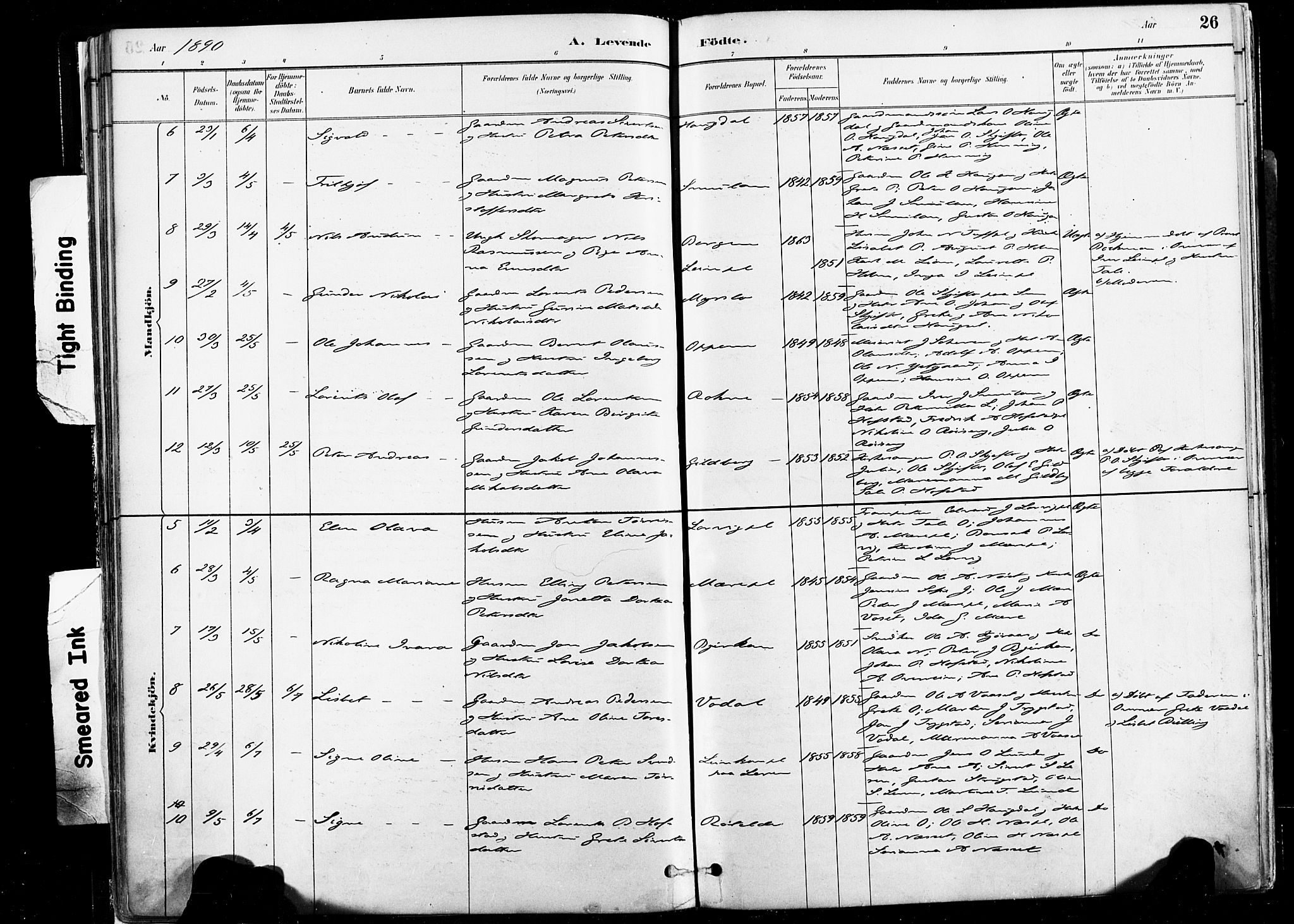 Ministerialprotokoller, klokkerbøker og fødselsregistre - Nord-Trøndelag, SAT/A-1458/735/L0351: Ministerialbok nr. 735A10, 1884-1908, s. 26