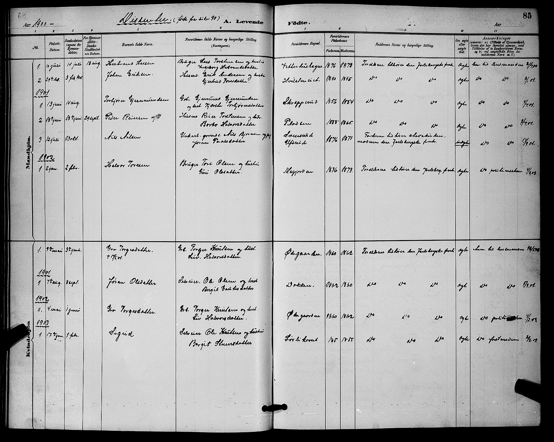 Nore kirkebøker, AV/SAKO-A-238/G/Ga/L0003: Klokkerbok nr. I 3, 1886-1903, s. 85