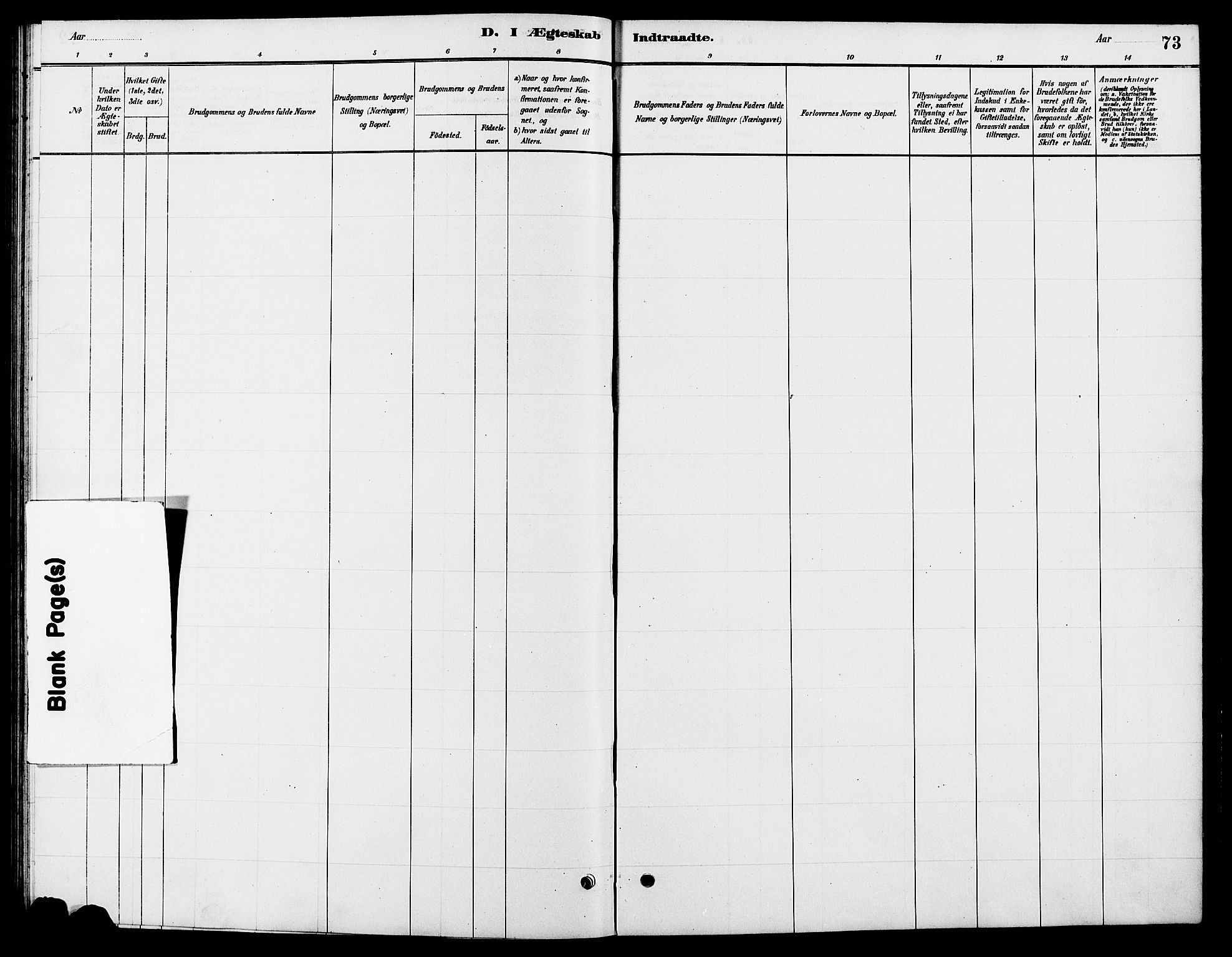 Tynset prestekontor, AV/SAH-PREST-058/H/Ha/Hab/L0007: Klokkerbok nr. 7, 1880-1901, s. 73