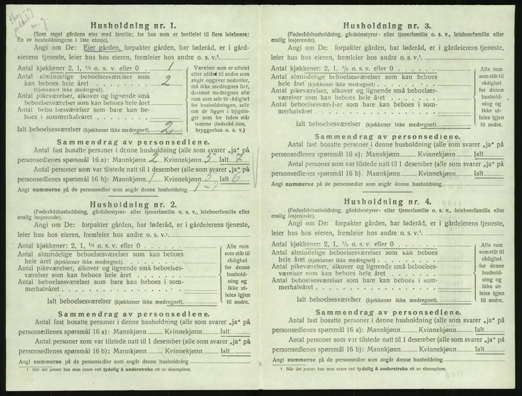 SAK, Folketelling 1920 for 0936 Hornnes herred, 1920, s. 318