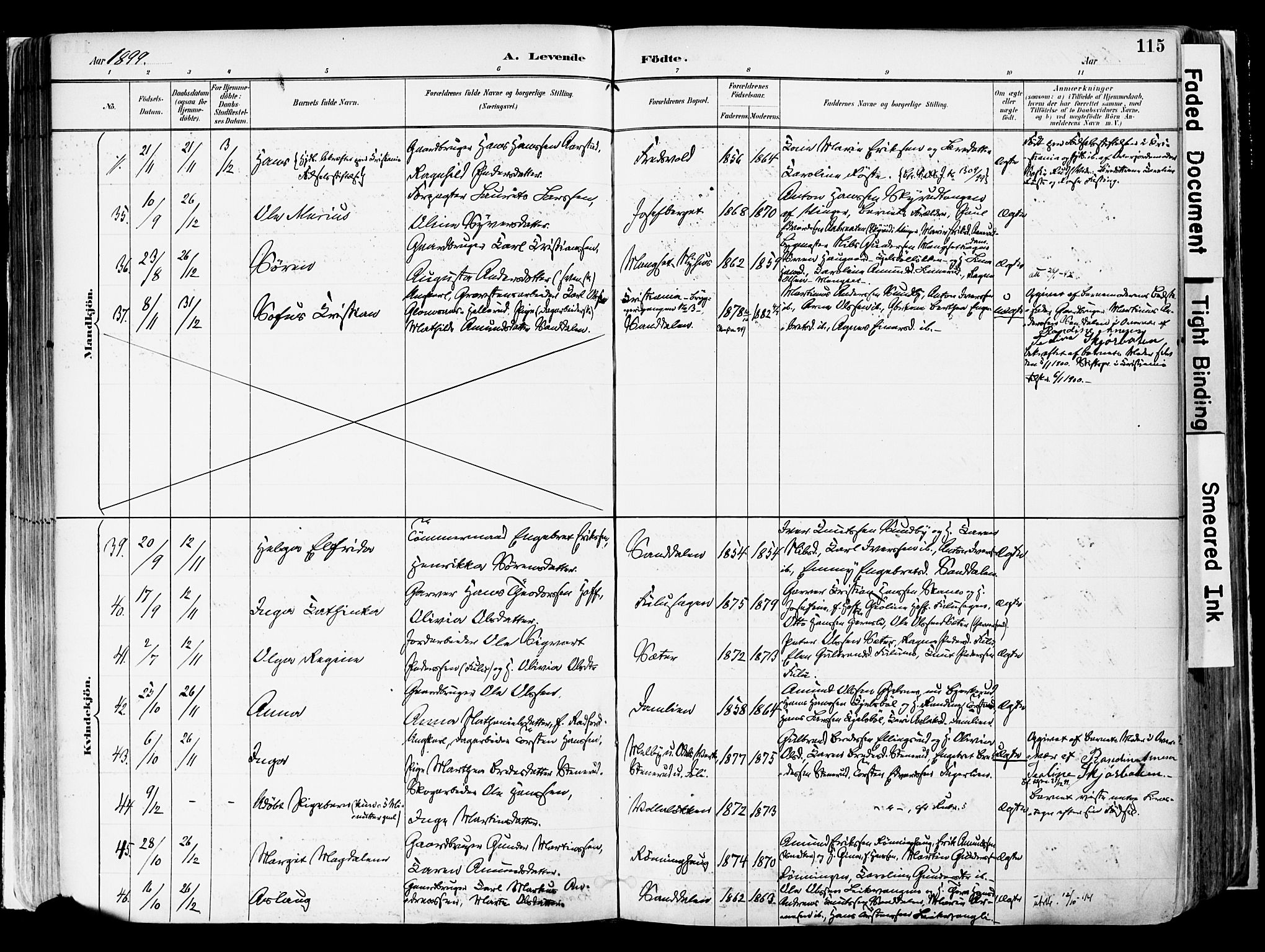 Sør-Odal prestekontor, AV/SAH-PREST-030/H/Ha/Haa/L0006: Ministerialbok nr. 6, 1886-1931, s. 115