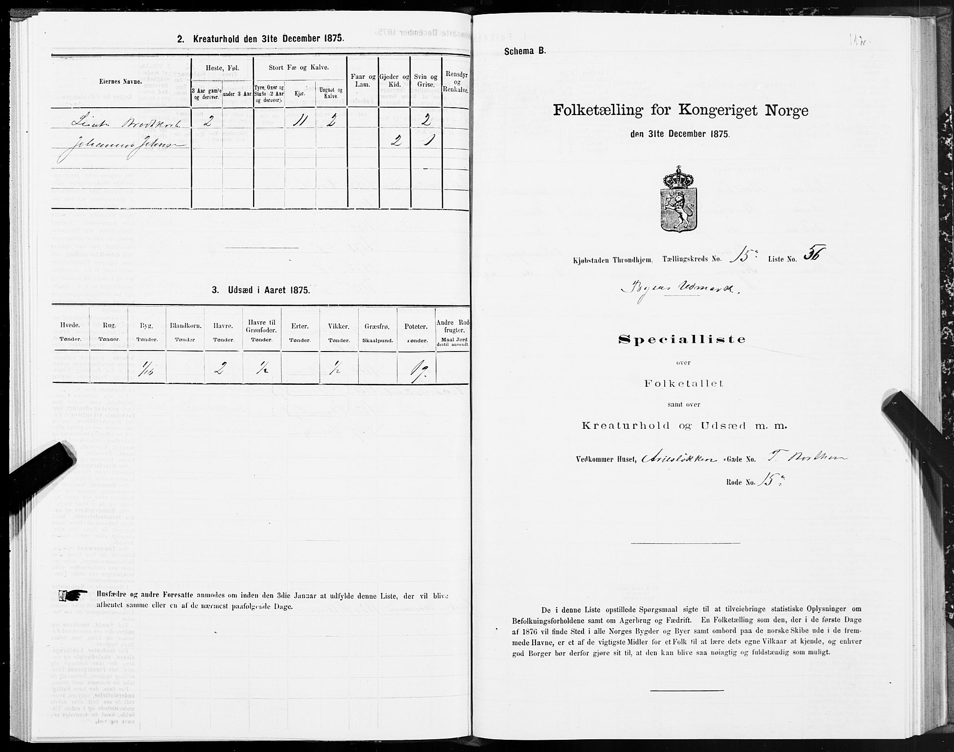 SAT, Folketelling 1875 for 1601 Trondheim kjøpstad, 1875, s. 8112