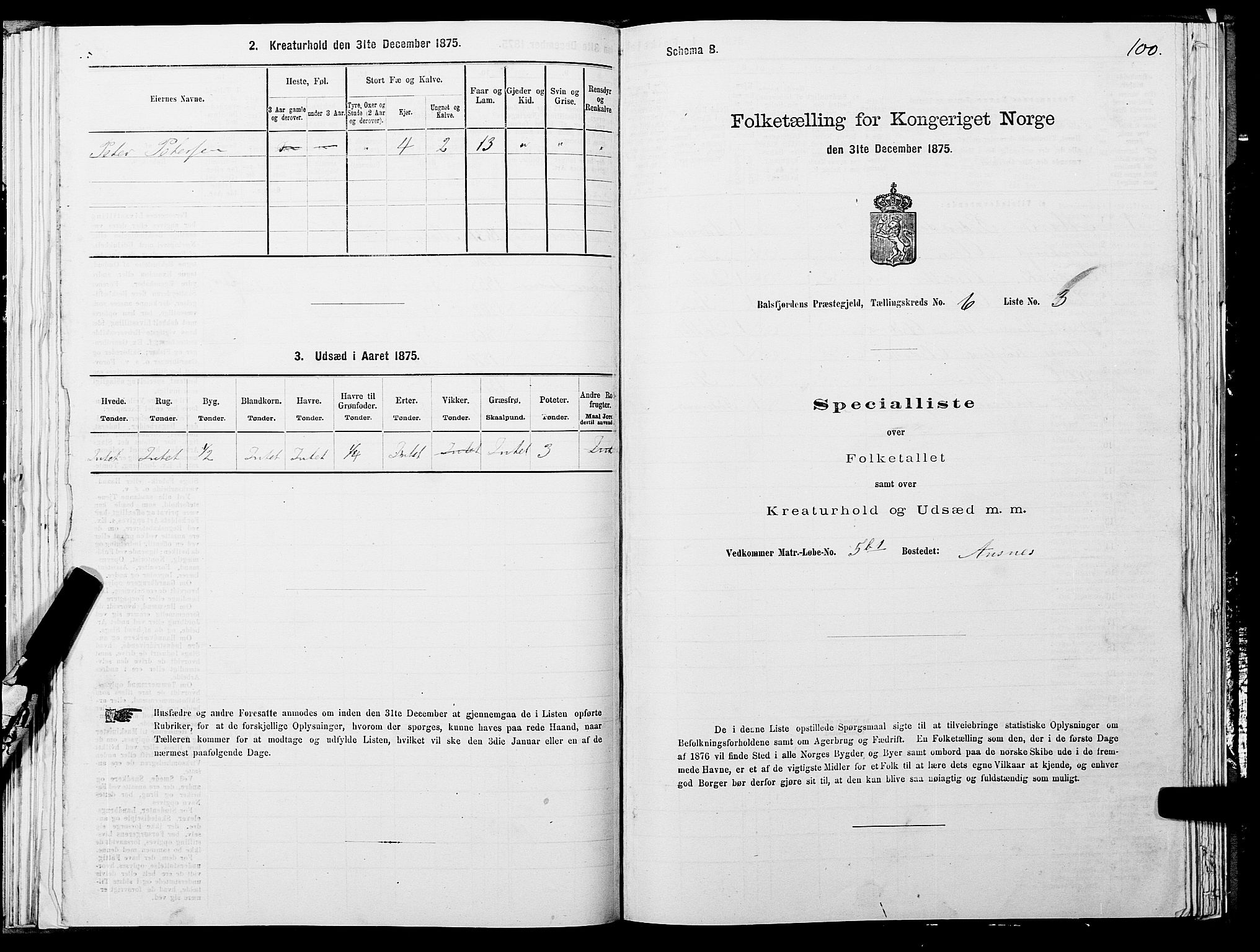 SATØ, Folketelling 1875 for 1933P Balsfjord prestegjeld, 1875, s. 3100