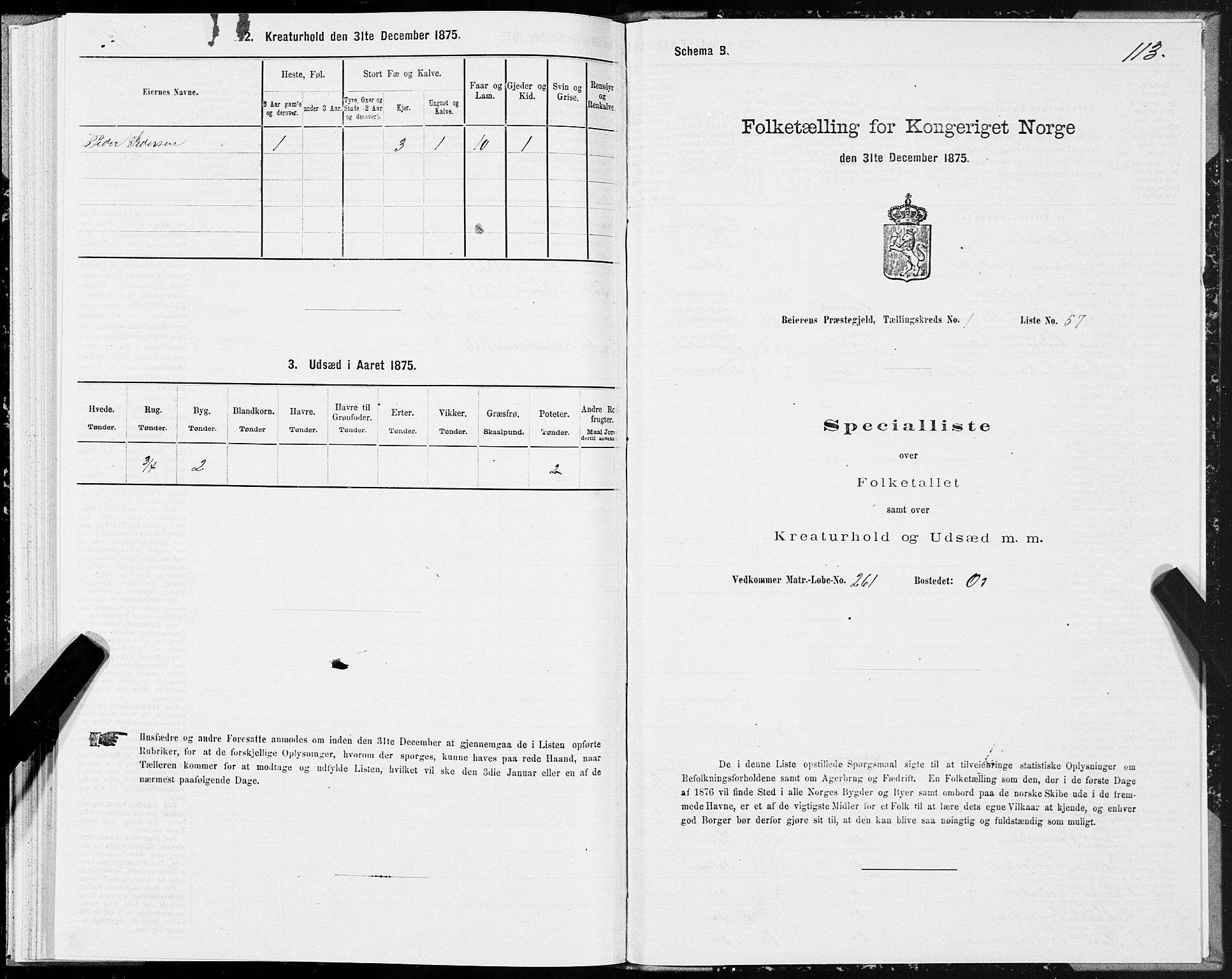 SAT, Folketelling 1875 for 1839P Beiarn prestegjeld, 1875, s. 1113