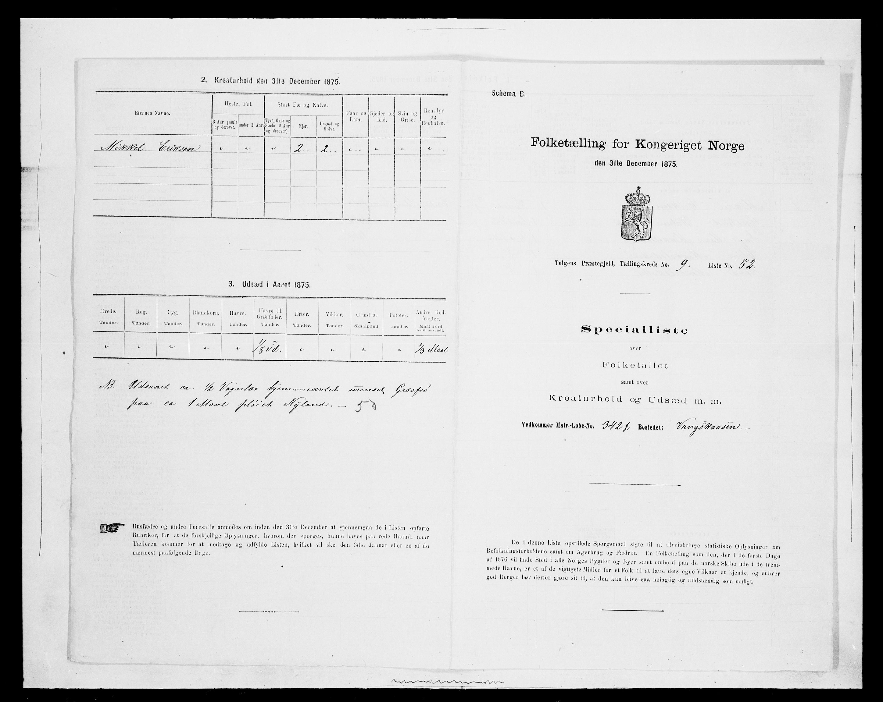 SAH, Folketelling 1875 for 0436P Tolga prestegjeld, 1875, s. 990