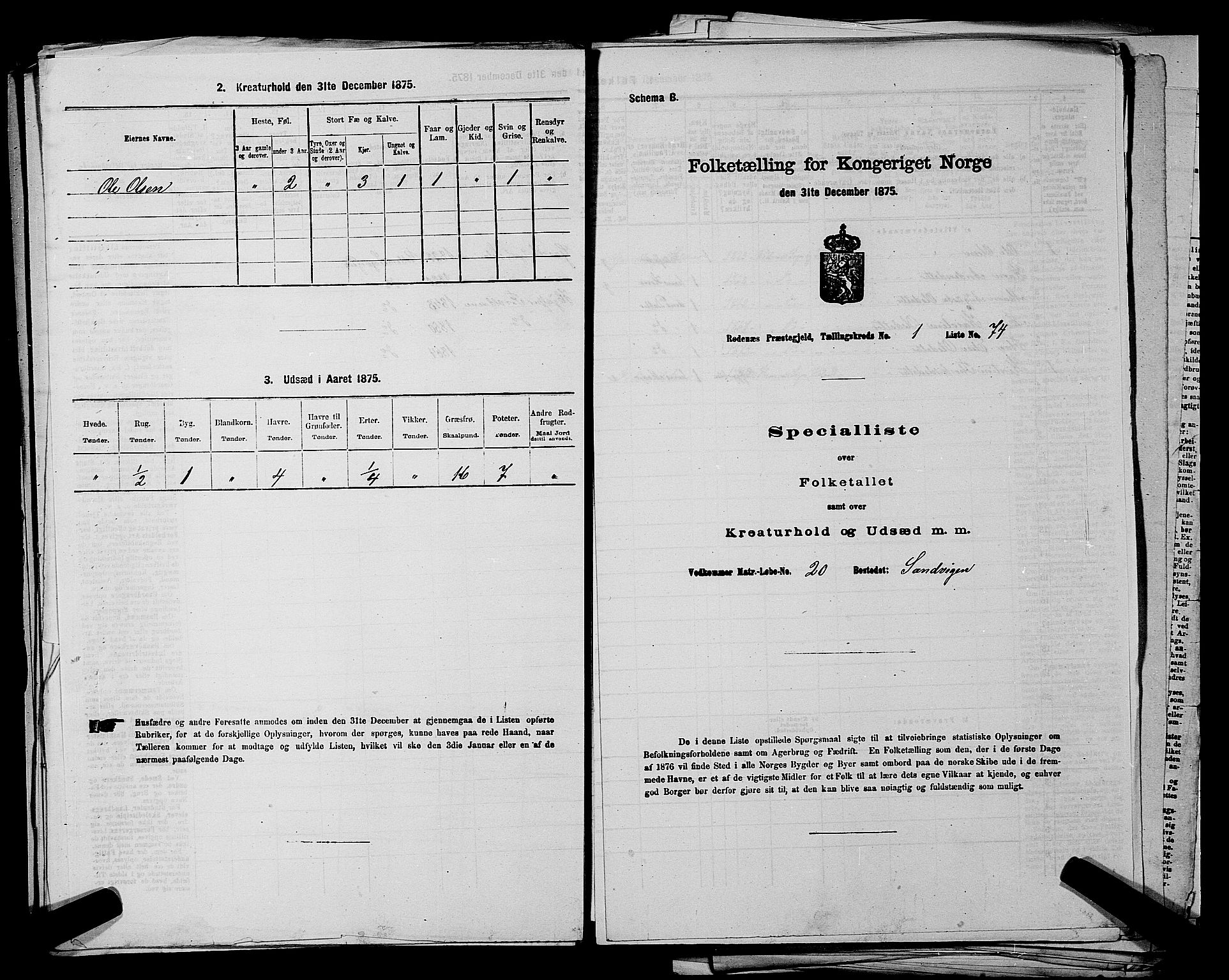 RA, Folketelling 1875 for 0120P Rødenes prestegjeld, 1875, s. 173