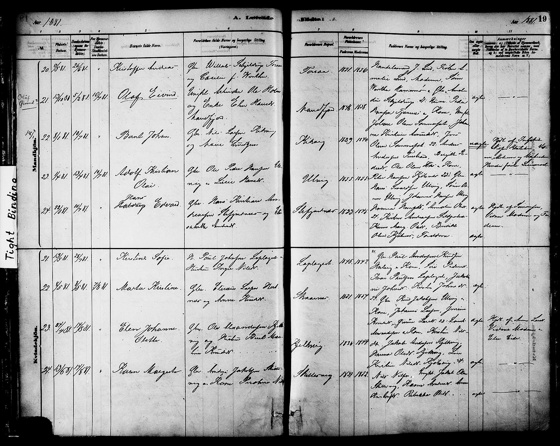 Ministerialprotokoller, klokkerbøker og fødselsregistre - Nordland, AV/SAT-A-1459/861/L0868: Ministerialbok nr. 861A03, 1879-1889, s. 19