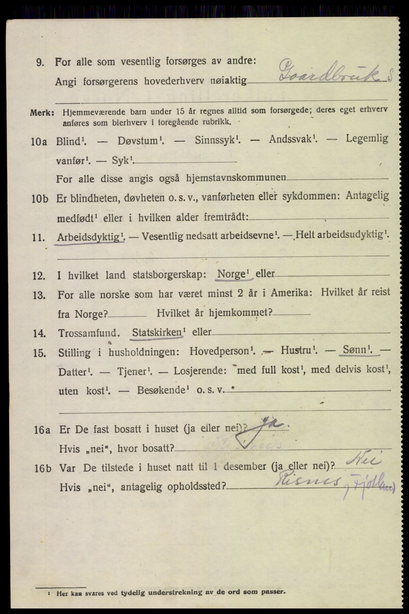 SAK, Folketelling 1920 for 1036 Fjotland herred, 1920, s. 1199