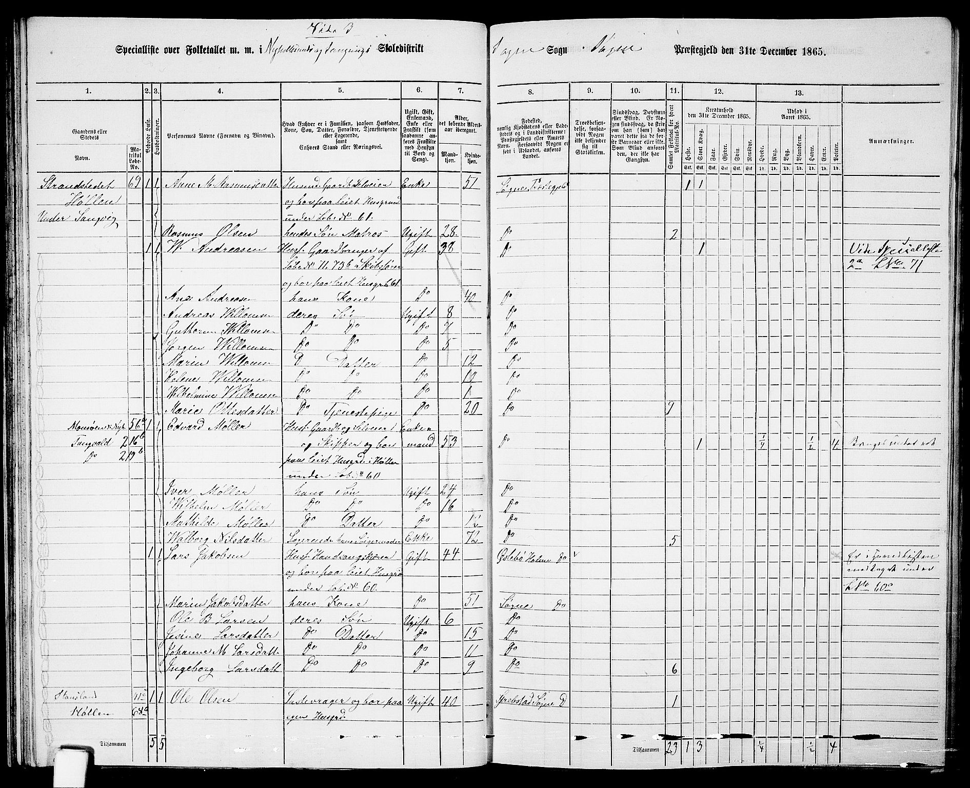 RA, Folketelling 1865 for 1018P Søgne prestegjeld, 1865, s. 52