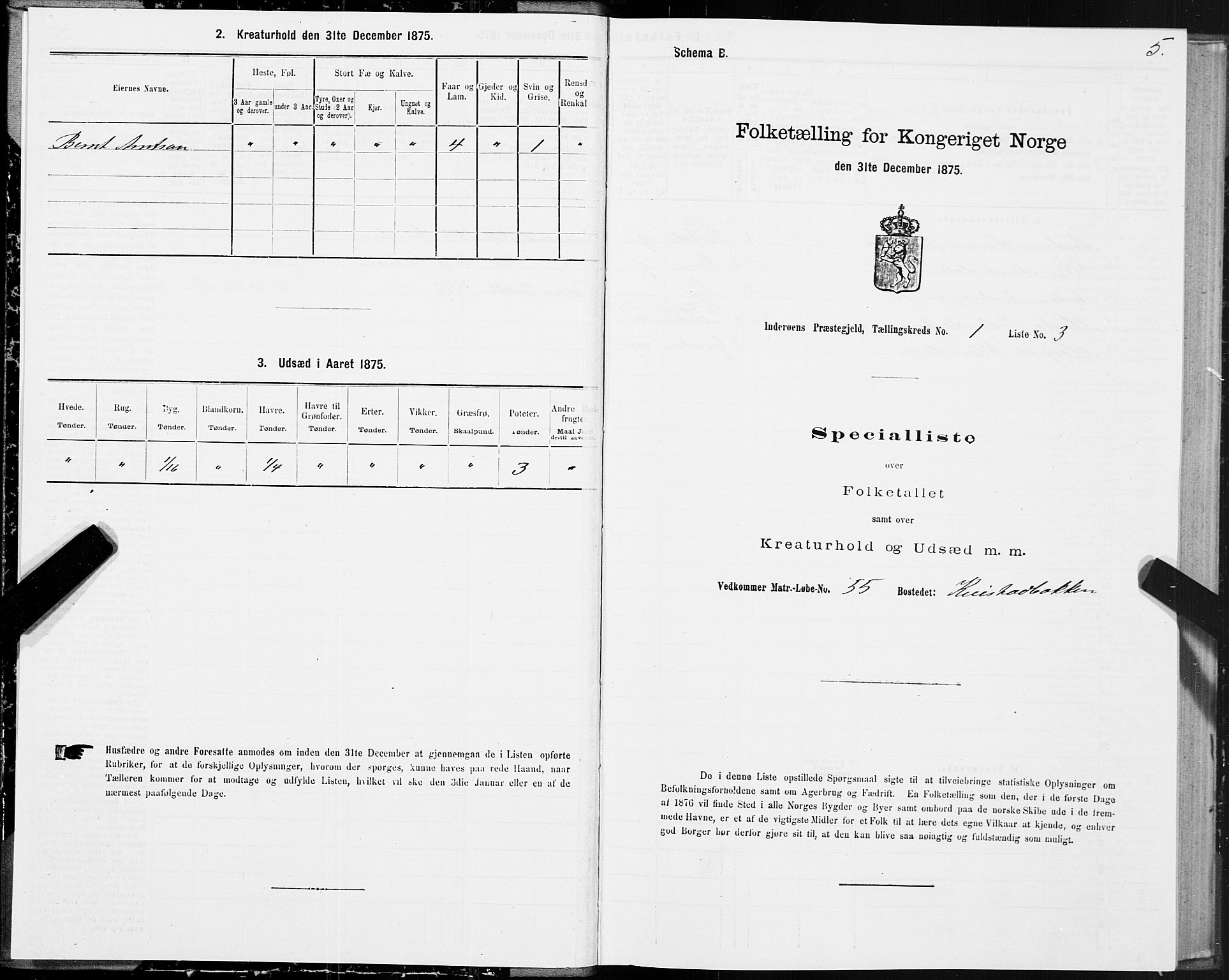 SAT, Folketelling 1875 for 1729P Inderøy prestegjeld, 1875, s. 1005