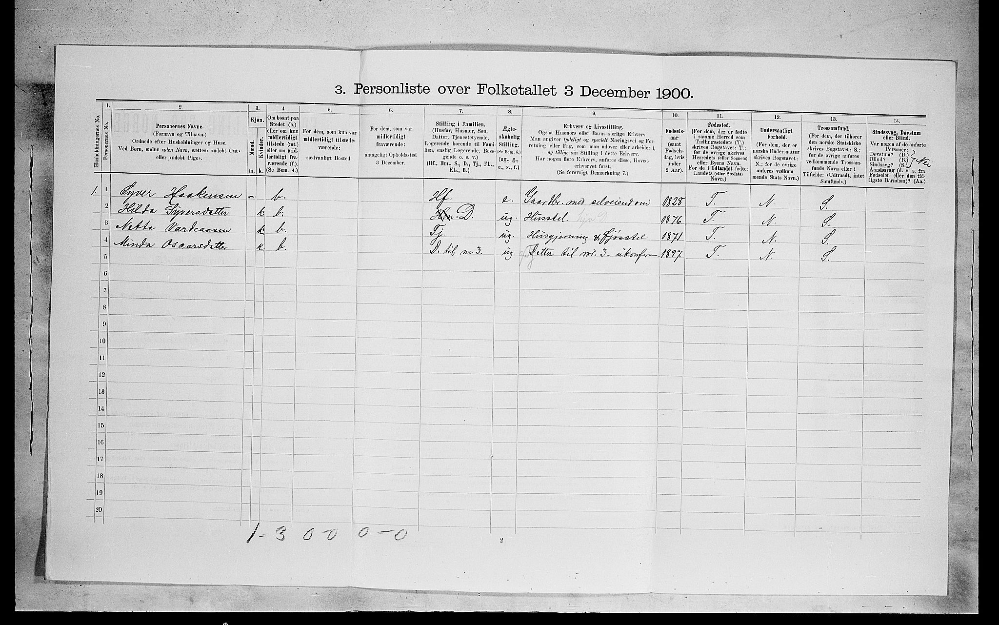 SAH, Folketelling 1900 for 0420 Eidskog herred, 1900, s. 312