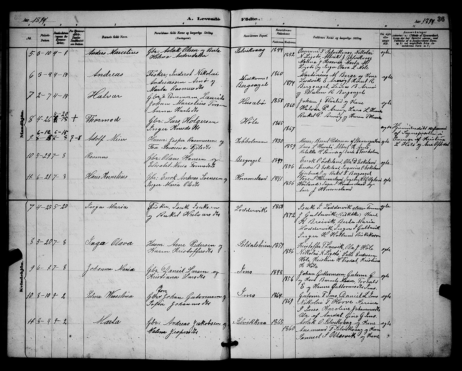 Høgsfjord sokneprestkontor, AV/SAST-A-101624/H/Ha/Hab/L0003: Klokkerbok nr. B 3, 1886-1905, s. 36