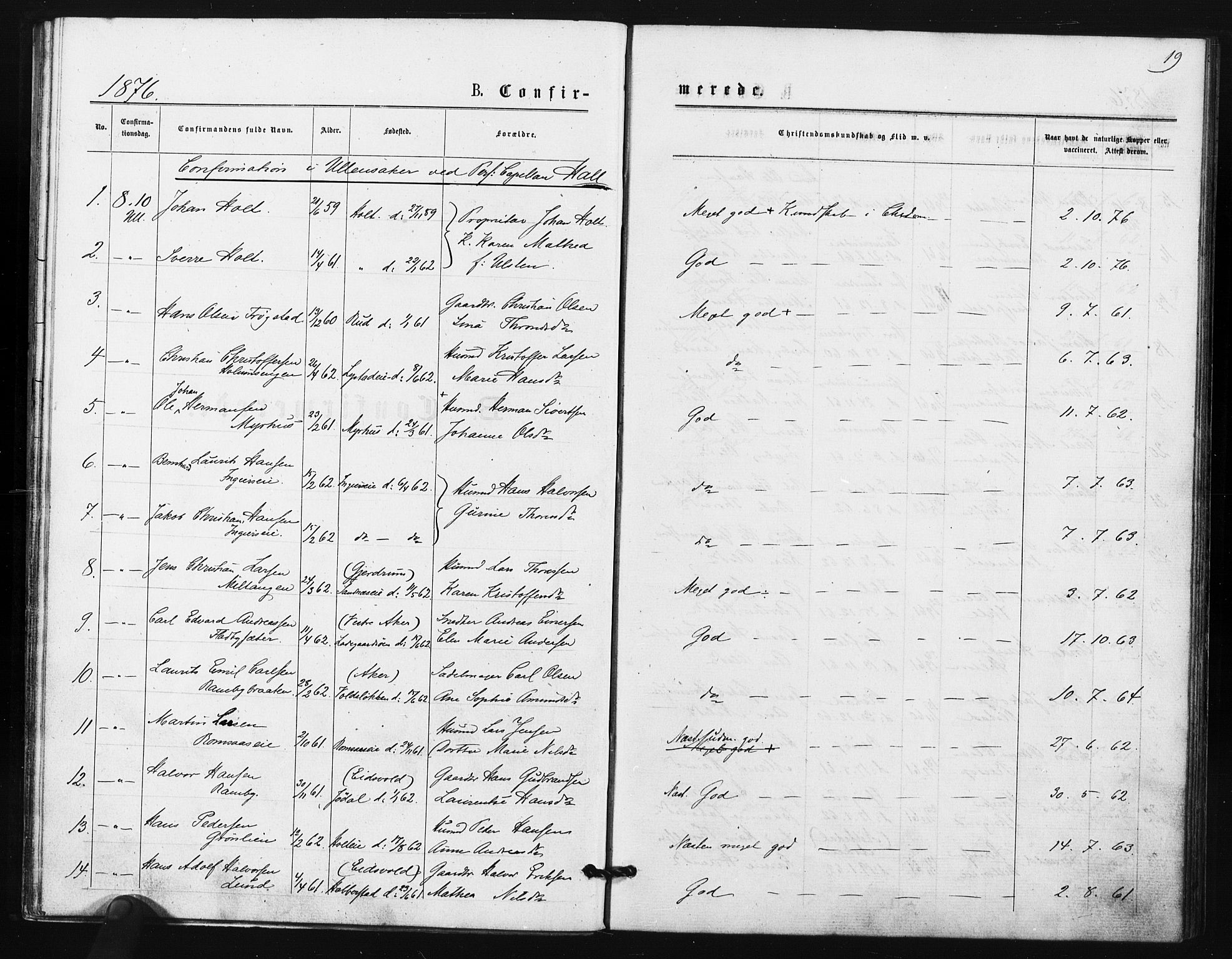 Ullensaker prestekontor Kirkebøker, AV/SAO-A-10236a/F/Fa/L0018: Ministerialbok nr. I 18, 1876-1877, s. 19