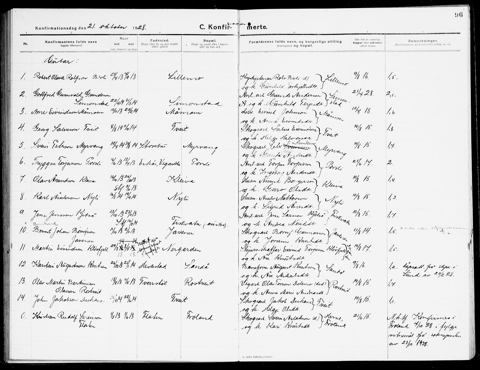 Åmli sokneprestkontor, SAK/1111-0050/F/Fa/Fac/L0013: Ministerialbok nr. A 13, 1914-1933, s. 96