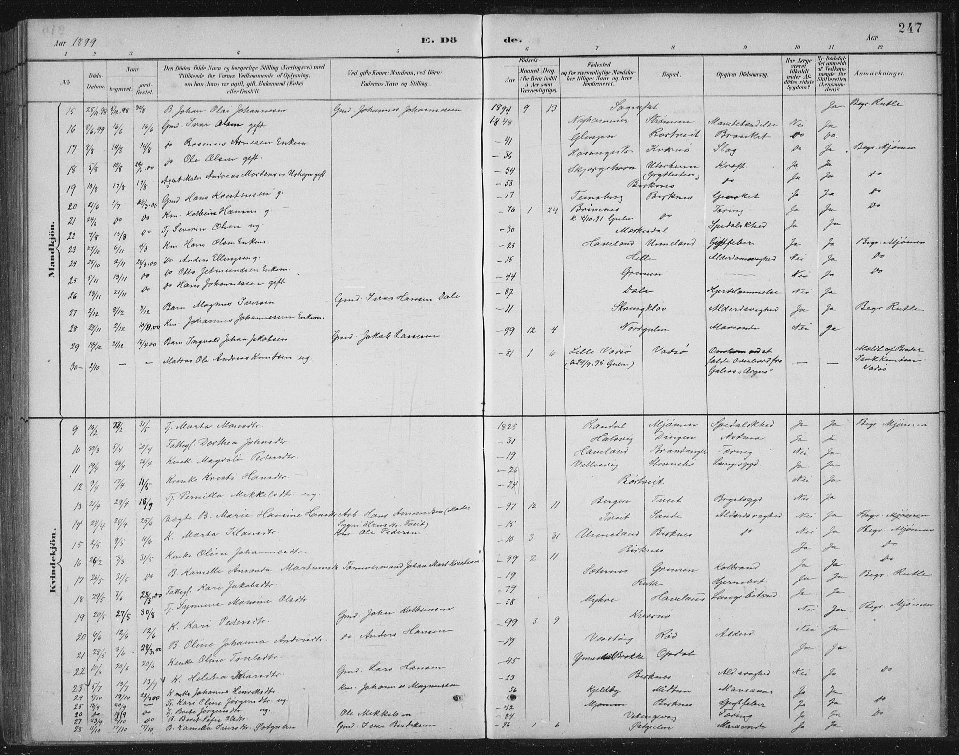 Gulen sokneprestembete, AV/SAB-A-80201/H/Hab/Habb/L0003: Klokkerbok nr. B 3, 1884-1907, s. 247