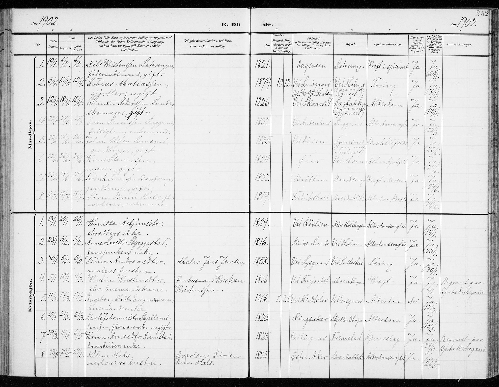 Fåberg prestekontor, AV/SAH-PREST-086/H/Ha/Haa/L0011: Ministerialbok nr. 11, 1899-1913, s. 252
