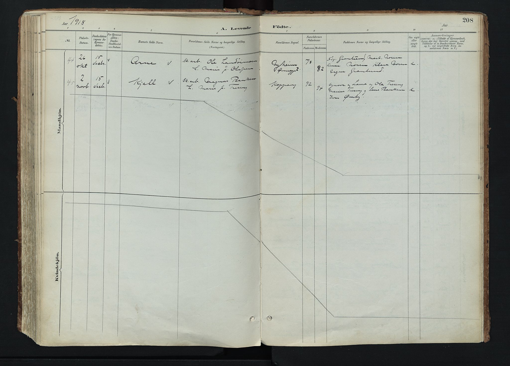 Stor-Elvdal prestekontor, AV/SAH-PREST-052/H/Ha/Haa/L0004: Ministerialbok nr. 4, 1890-1922, s. 208