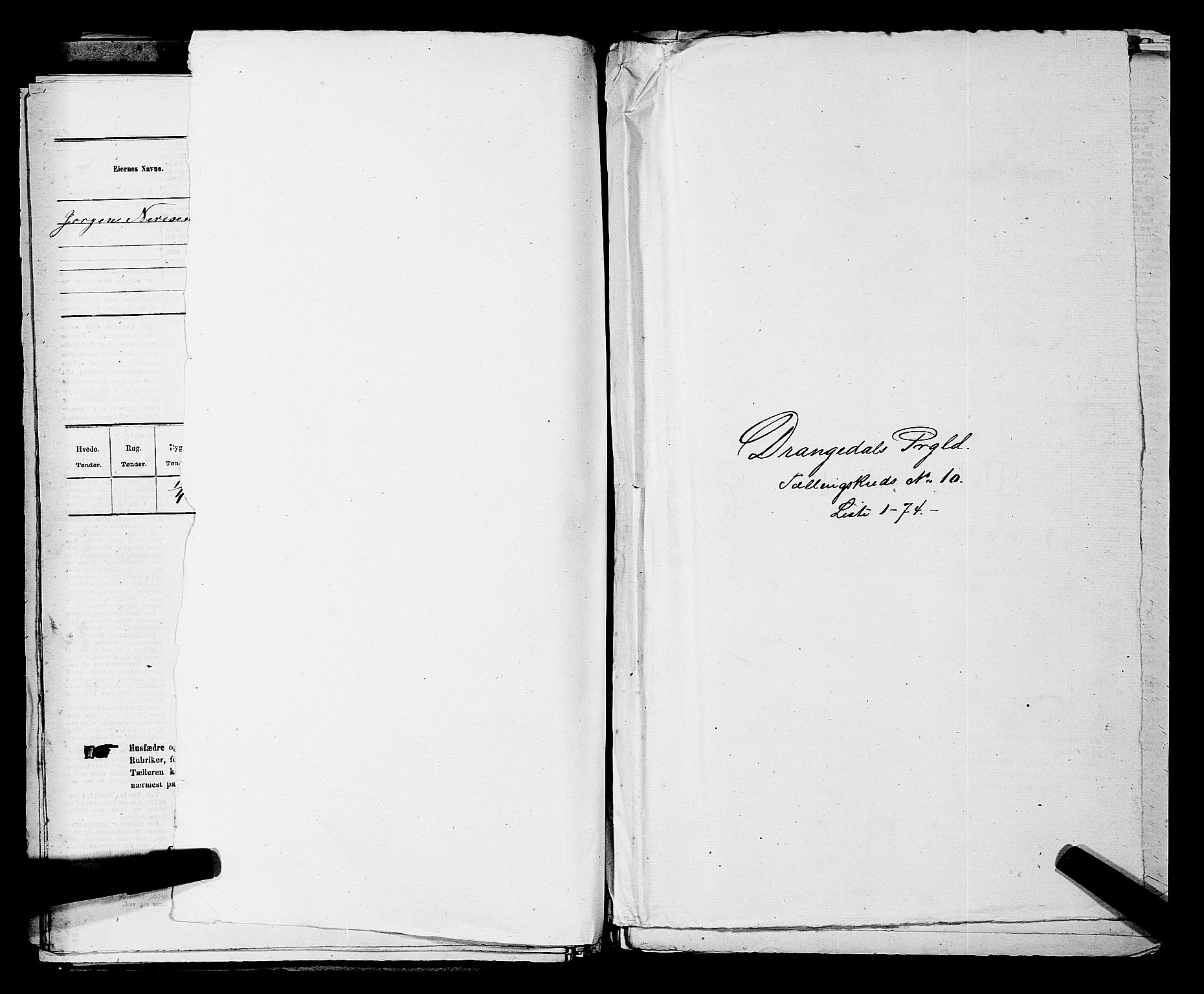 SAKO, Folketelling 1875 for 0817P Drangedal prestegjeld, 1875, s. 1003