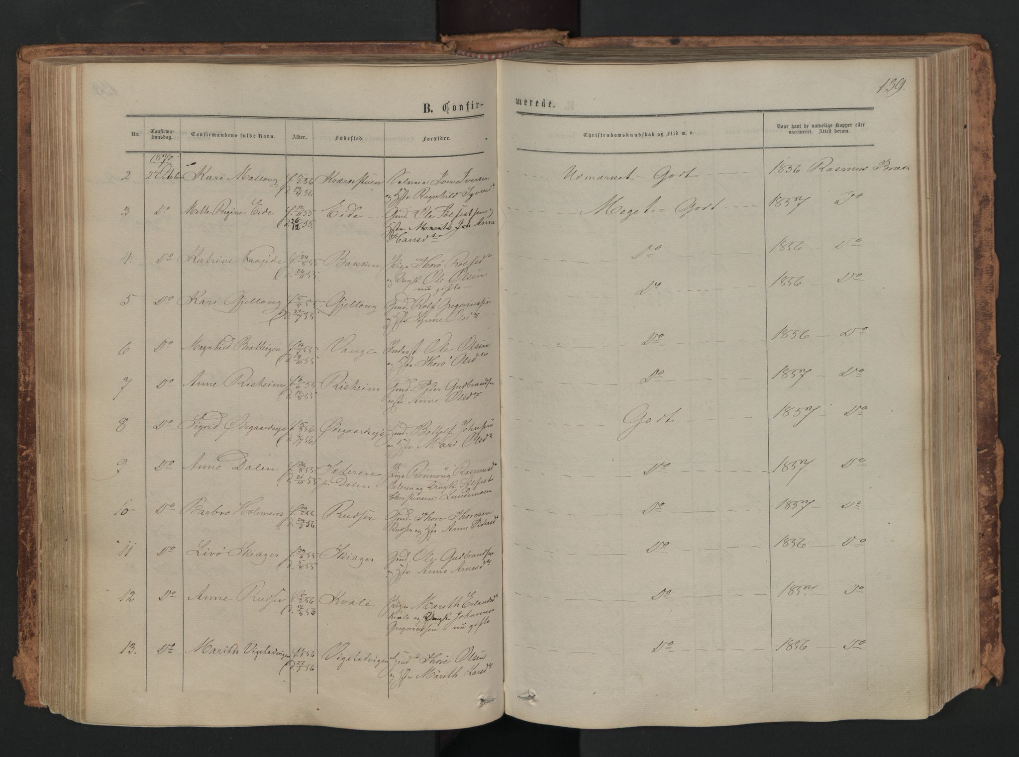 Skjåk prestekontor, AV/SAH-PREST-072/H/Ha/Haa/L0001: Ministerialbok nr. 1, 1863-1879, s. 139