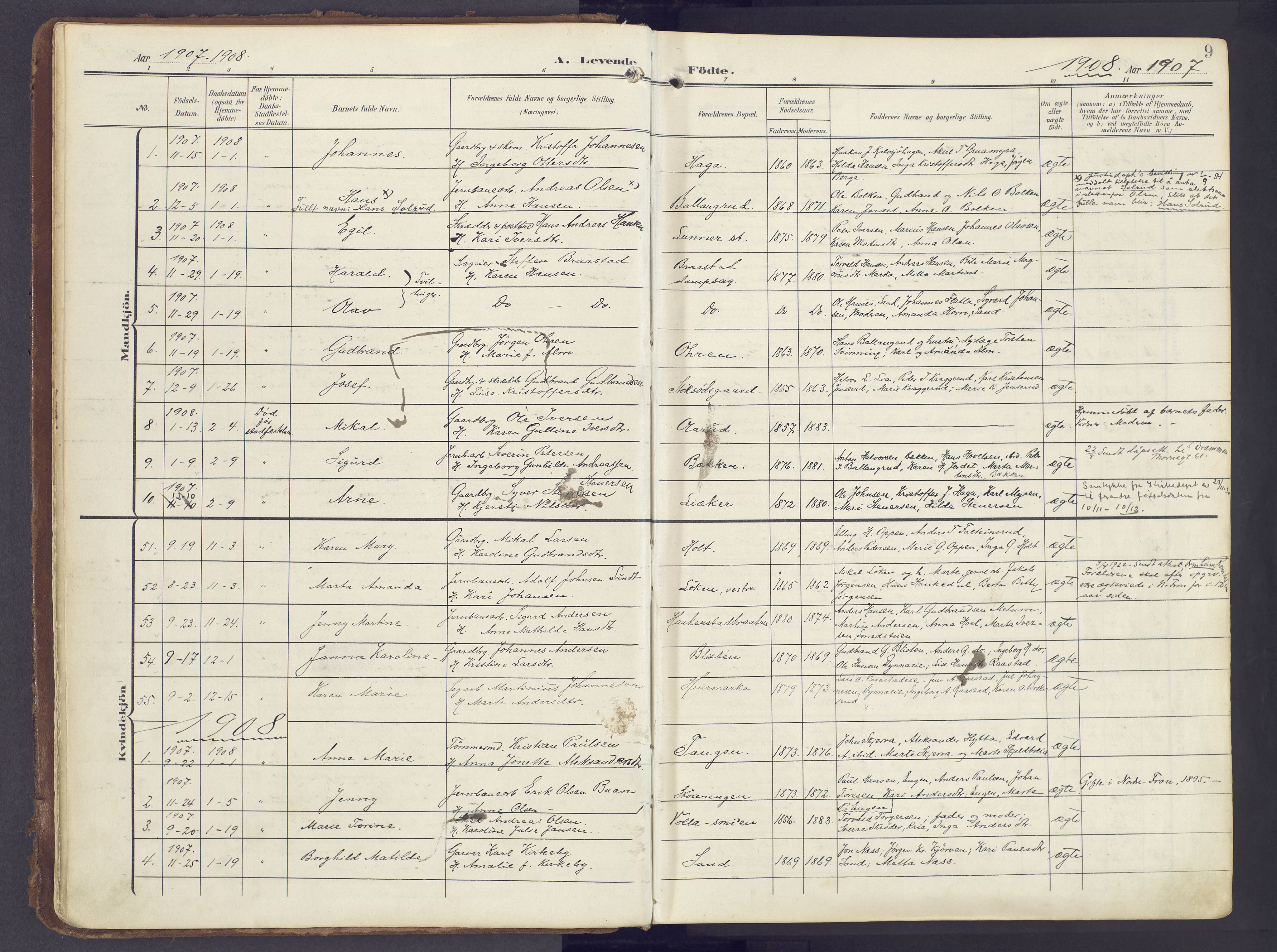 Lunner prestekontor, AV/SAH-PREST-118/H/Ha/Haa/L0001: Ministerialbok nr. 1, 1907-1922, s. 9