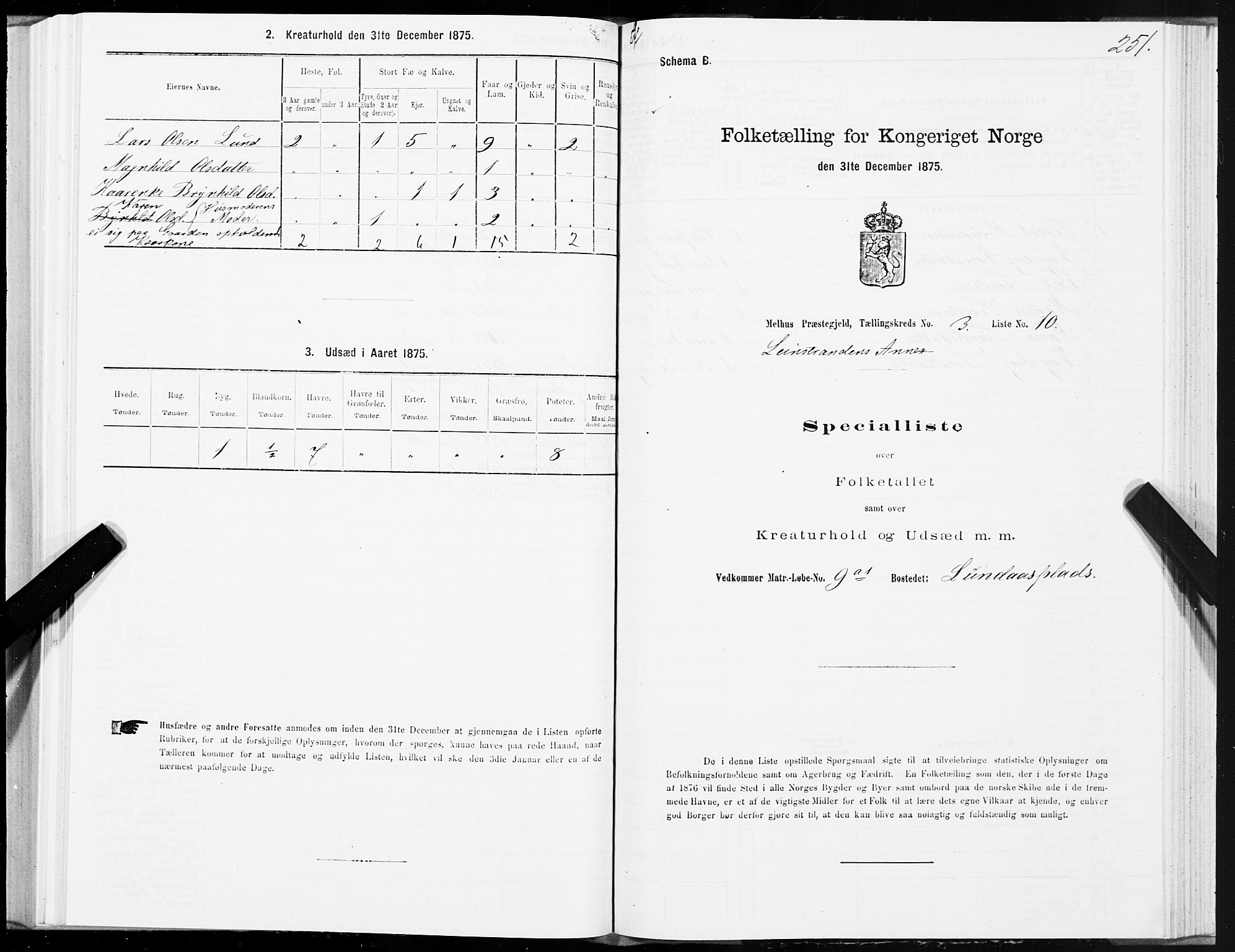 SAT, Folketelling 1875 for 1653P Melhus prestegjeld, 1875, s. 8251