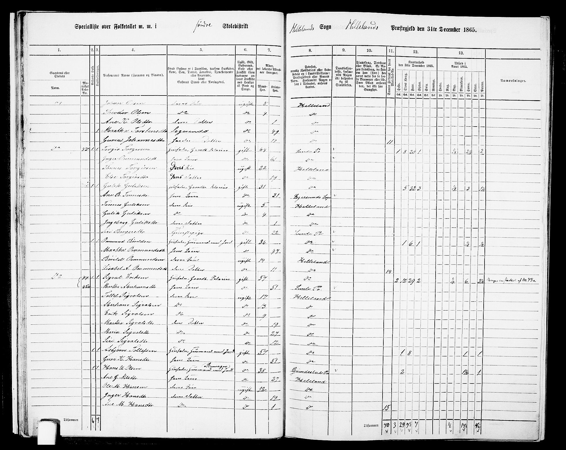 RA, Folketelling 1865 for 1115P Helleland prestegjeld, 1865, s. 20
